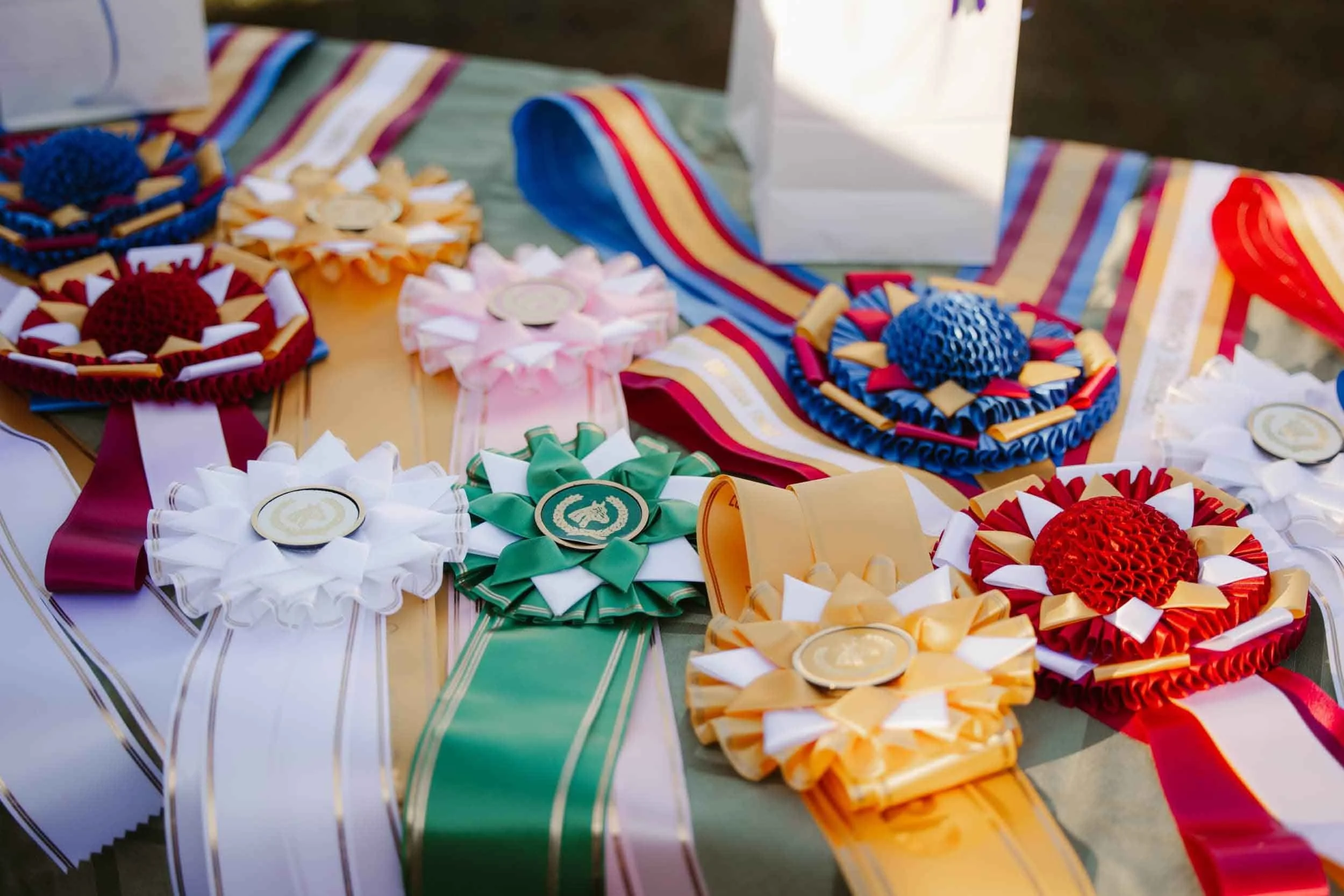 Horse show ribbons assorted colors