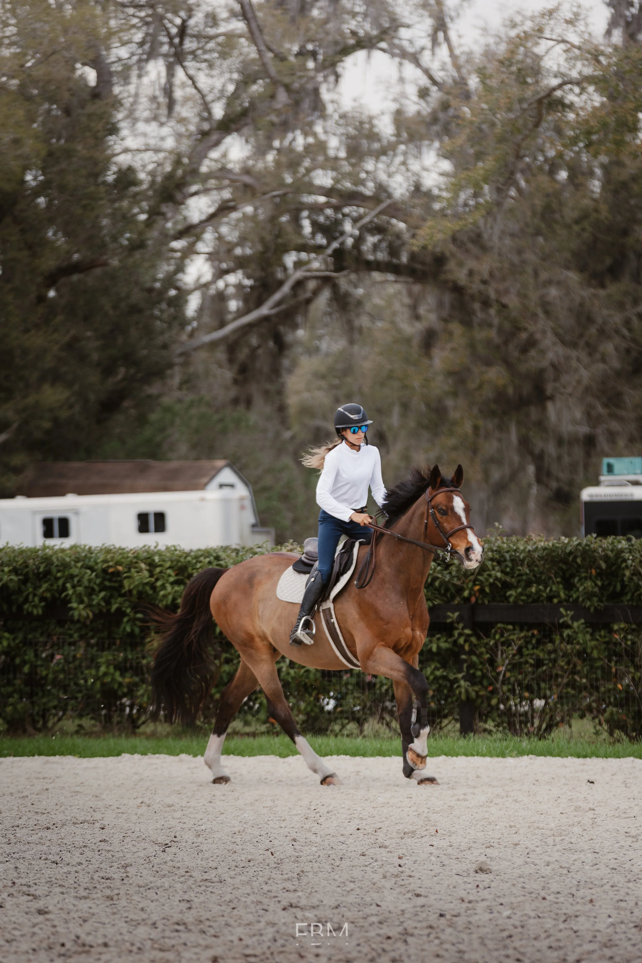 What Buyers Look for in Horse Sale Ads (And Why Professional Media Matters)