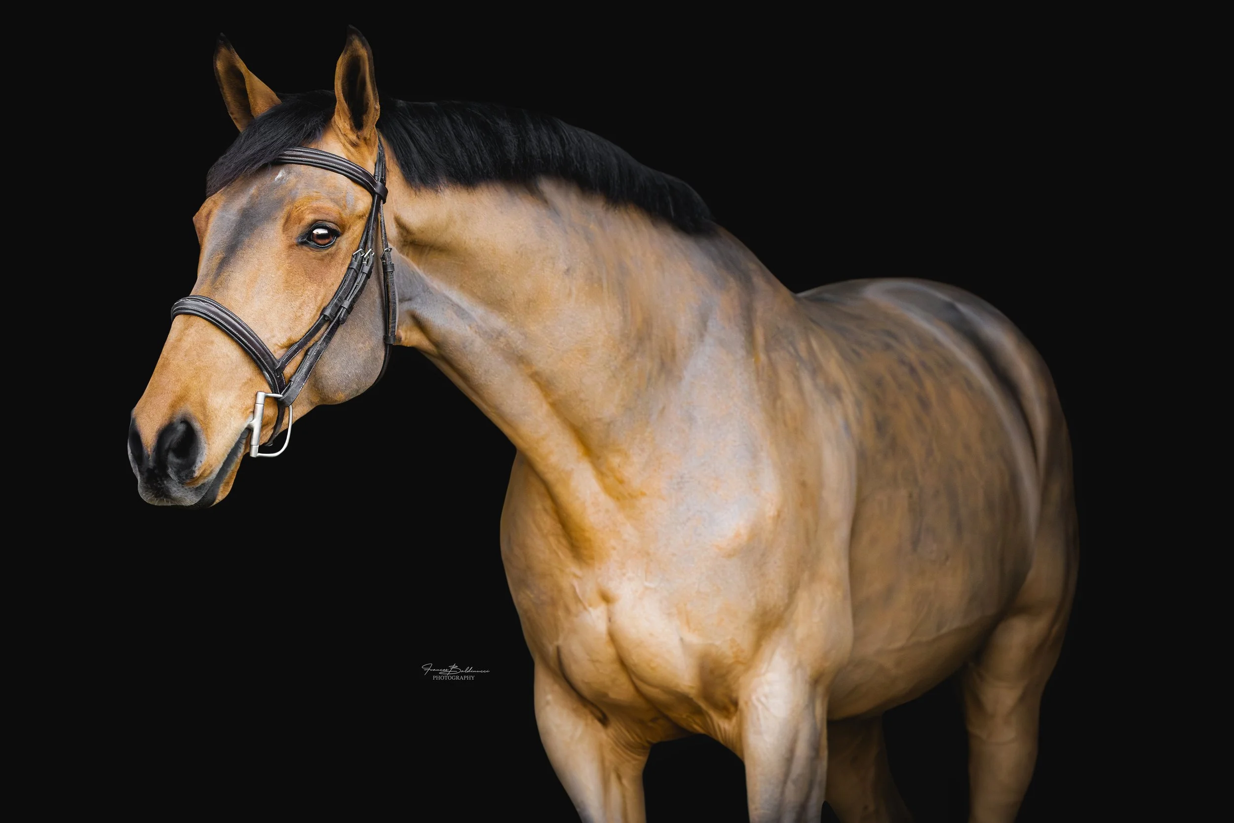 FBP_1152-Edit-Edit.jpg