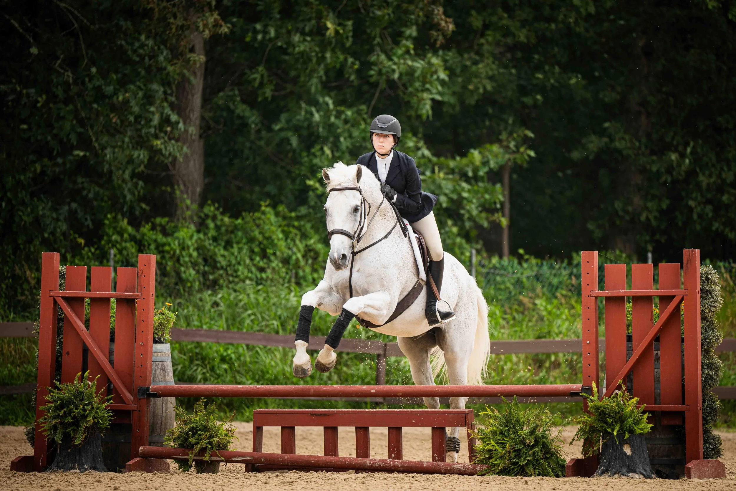 A female equestrian rider wearing a black helmet and riding jacket guides a white horse over a jump in a competition, with a wooded background.