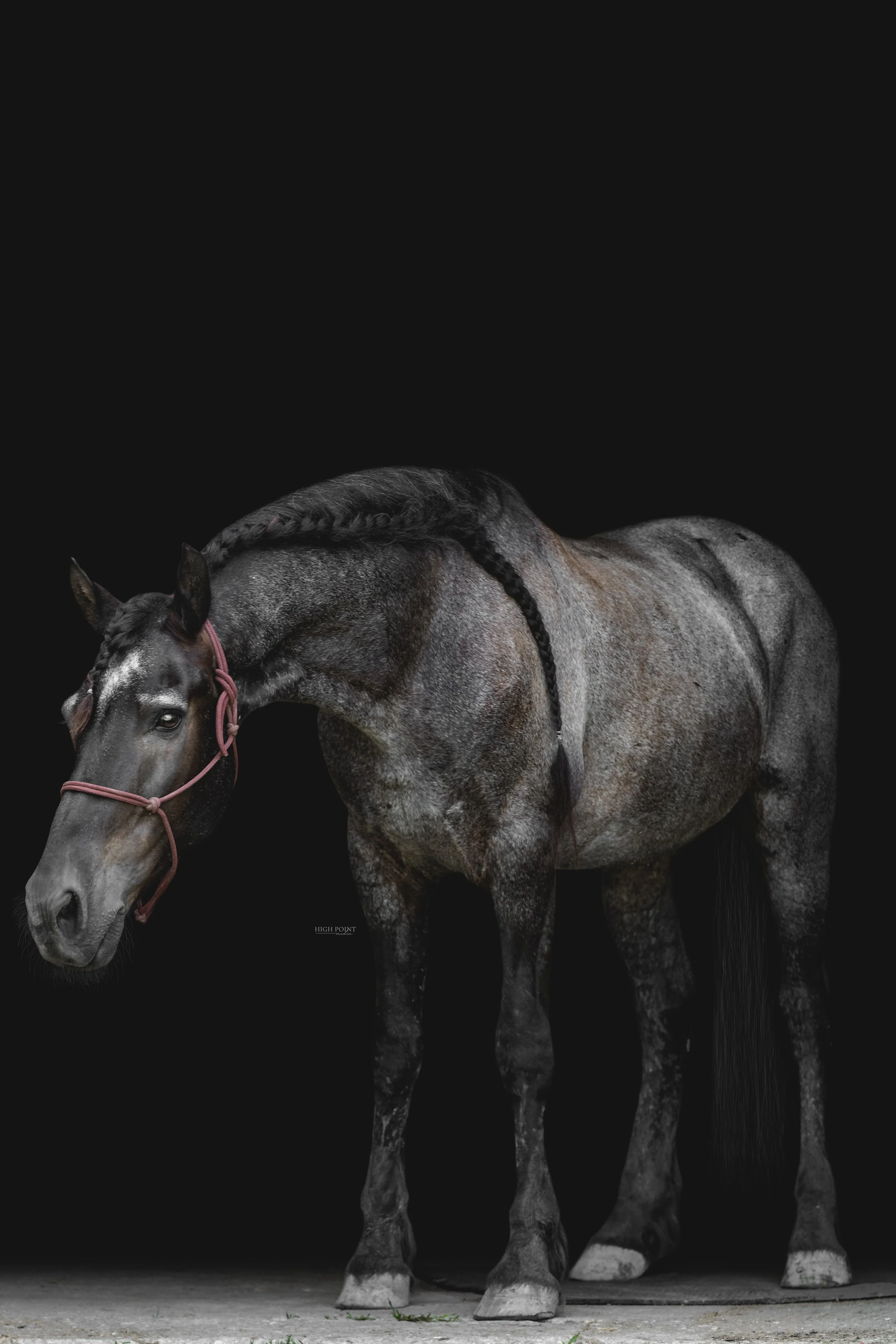 FRAN6398-Edit.jpg