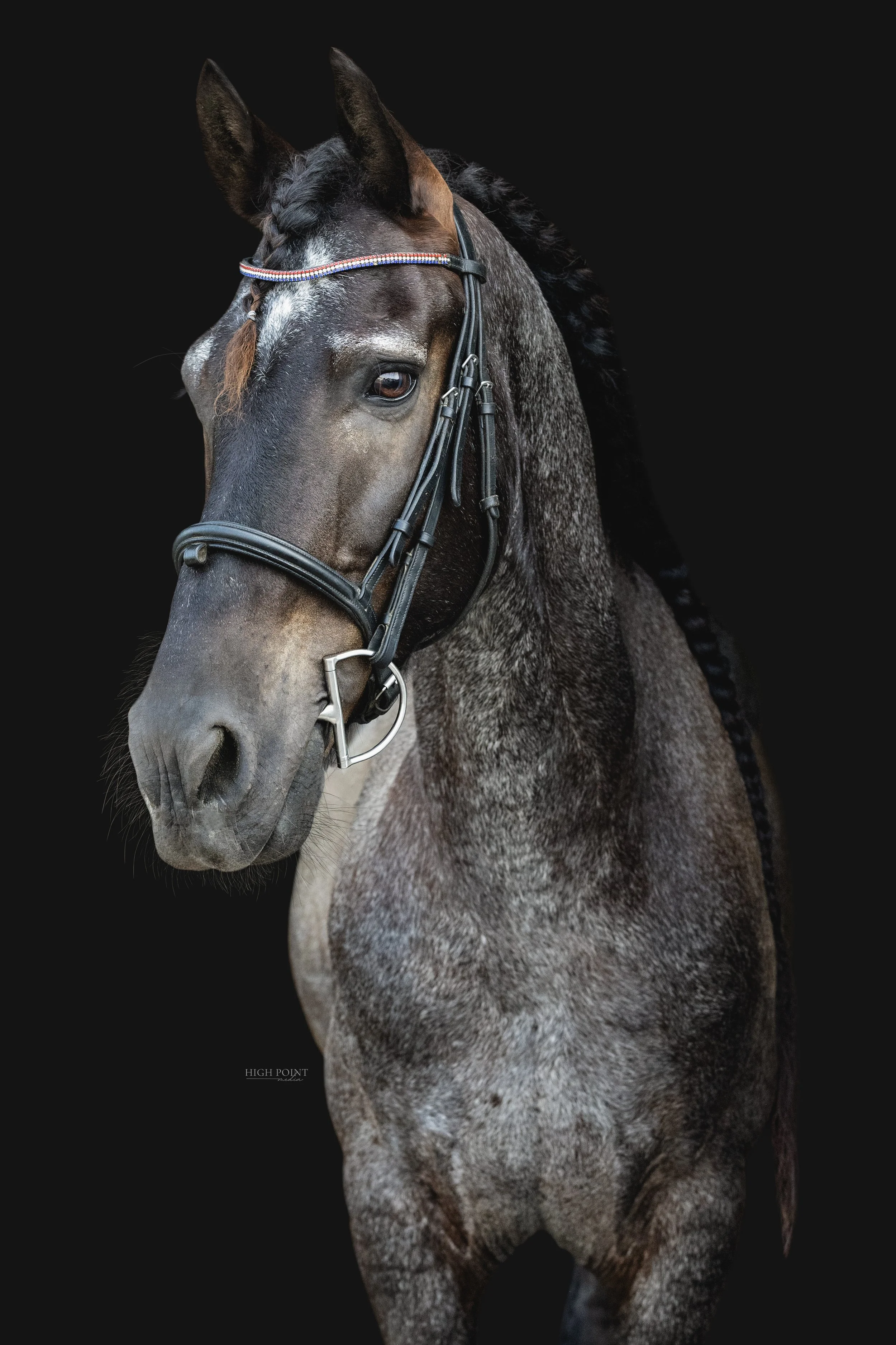 FRAN3489-Edit.jpg