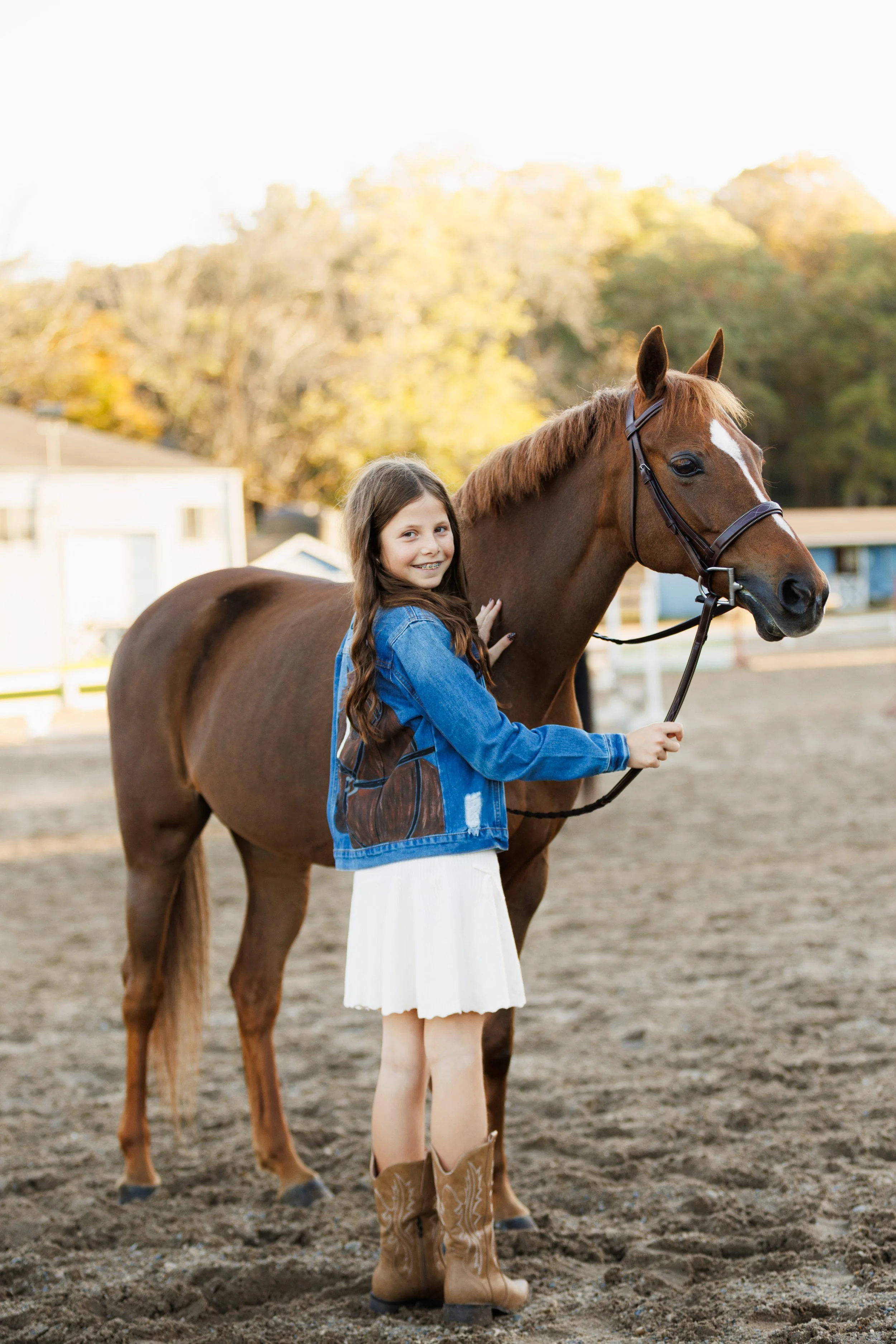 Horse & Rider