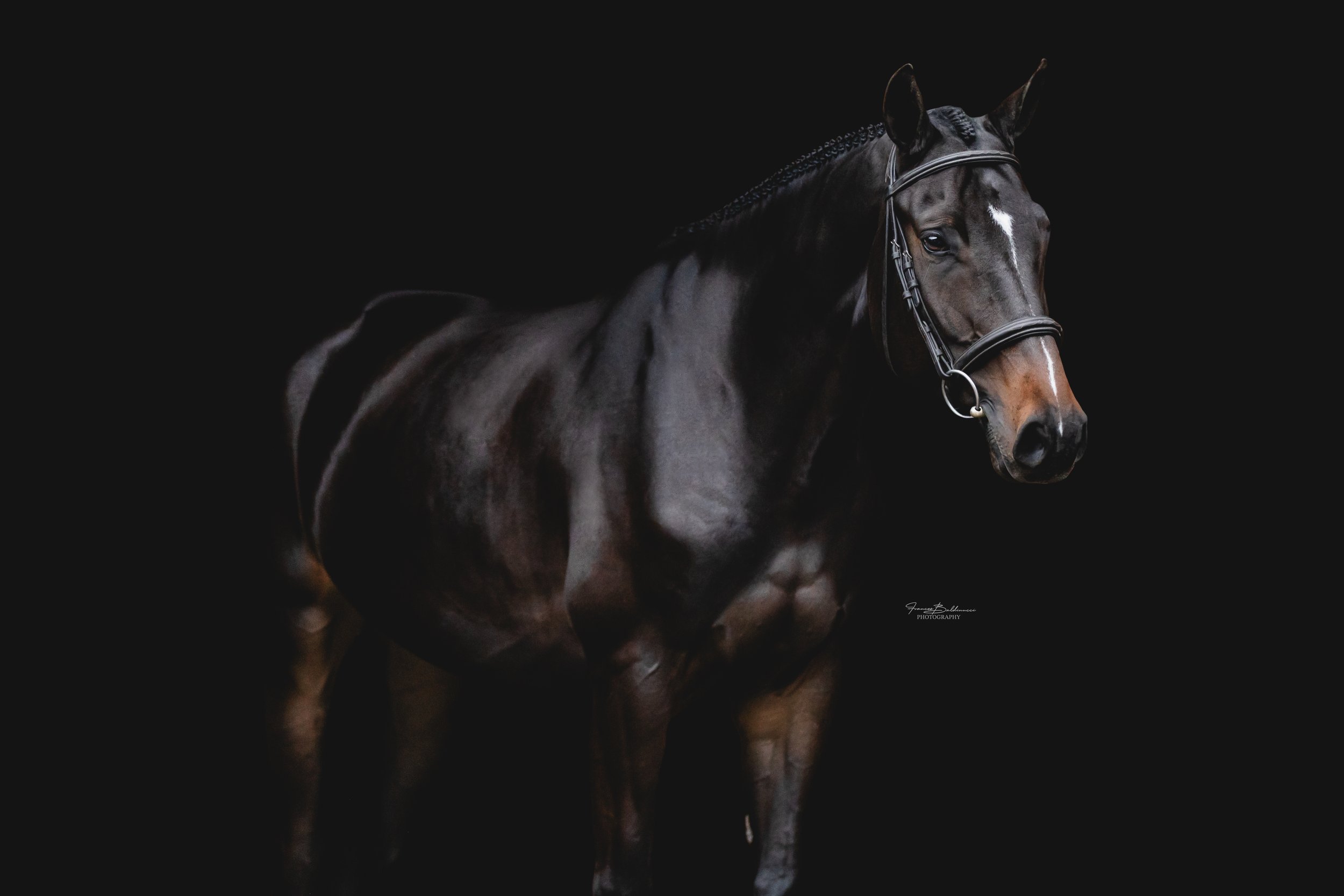 FBP_9542-Edit.jpg