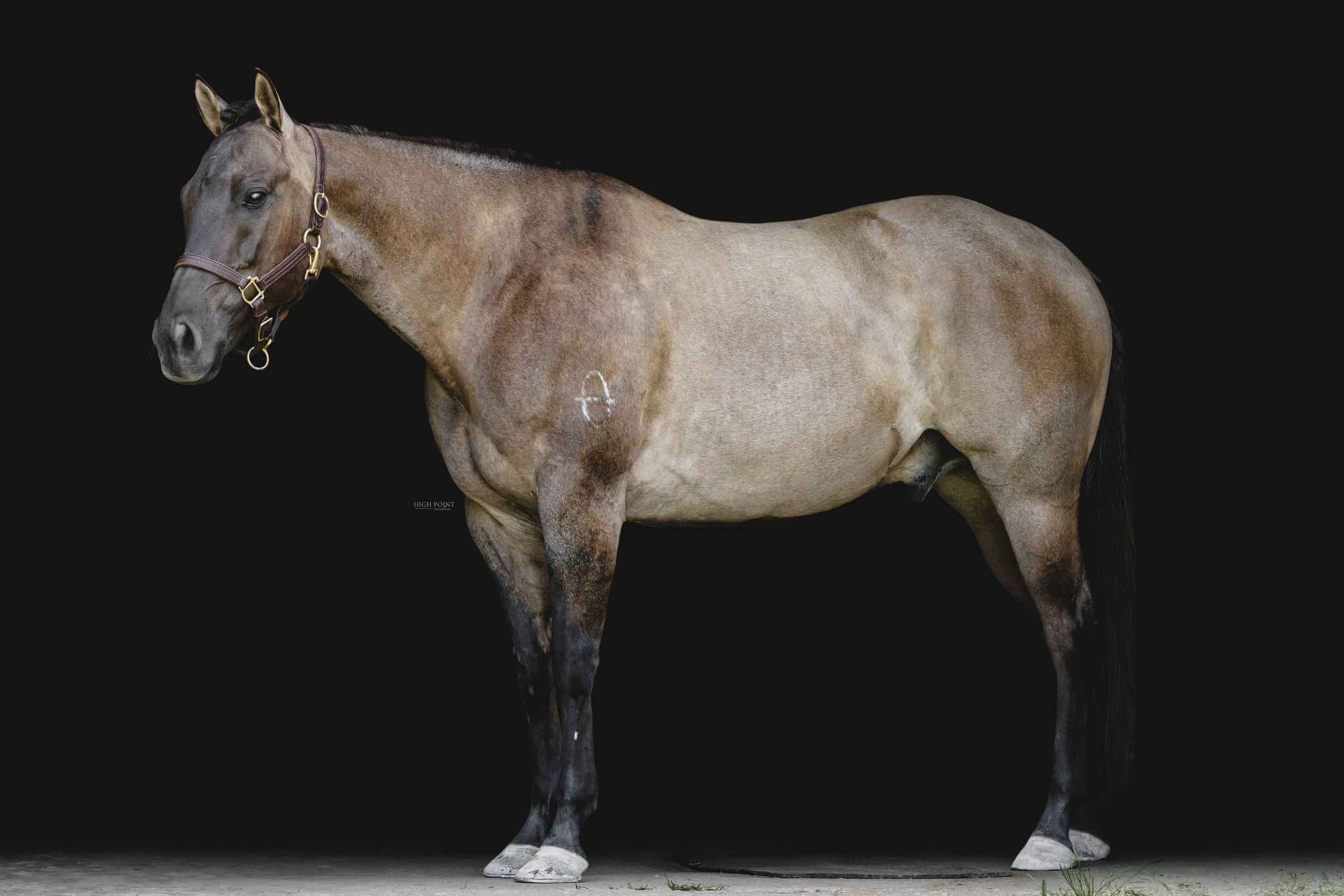 FRAN6304-Edit.jpg