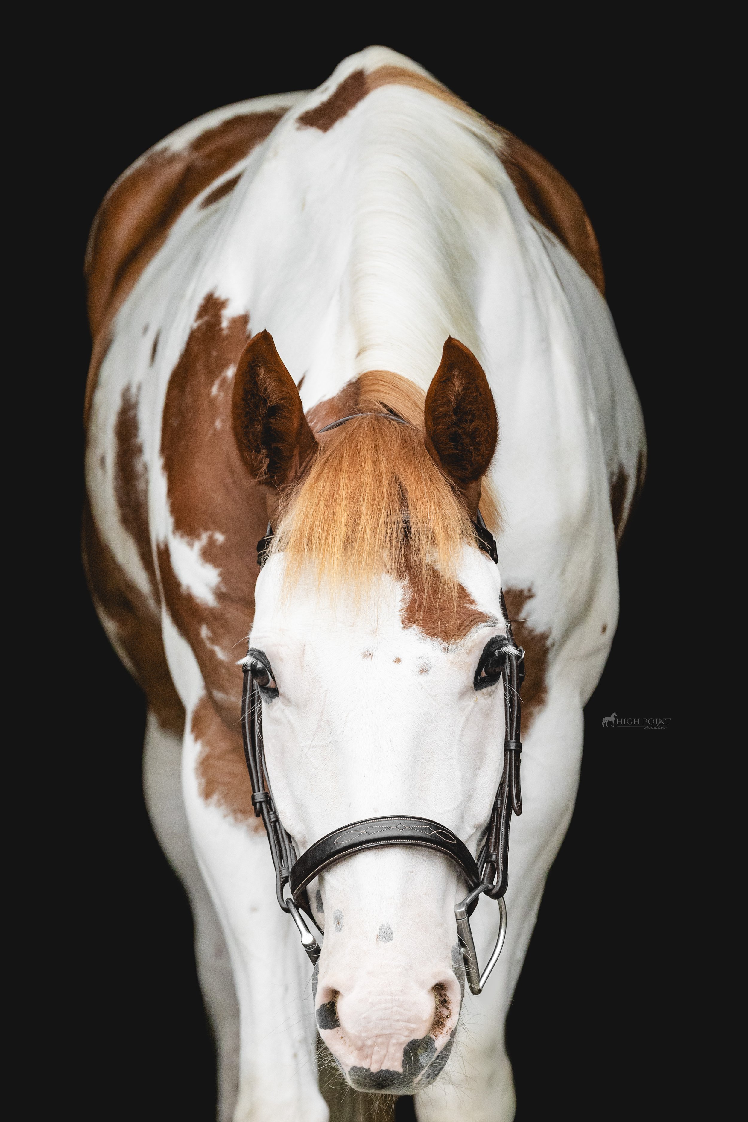 HPM_2035-Edit-Edit.jpg