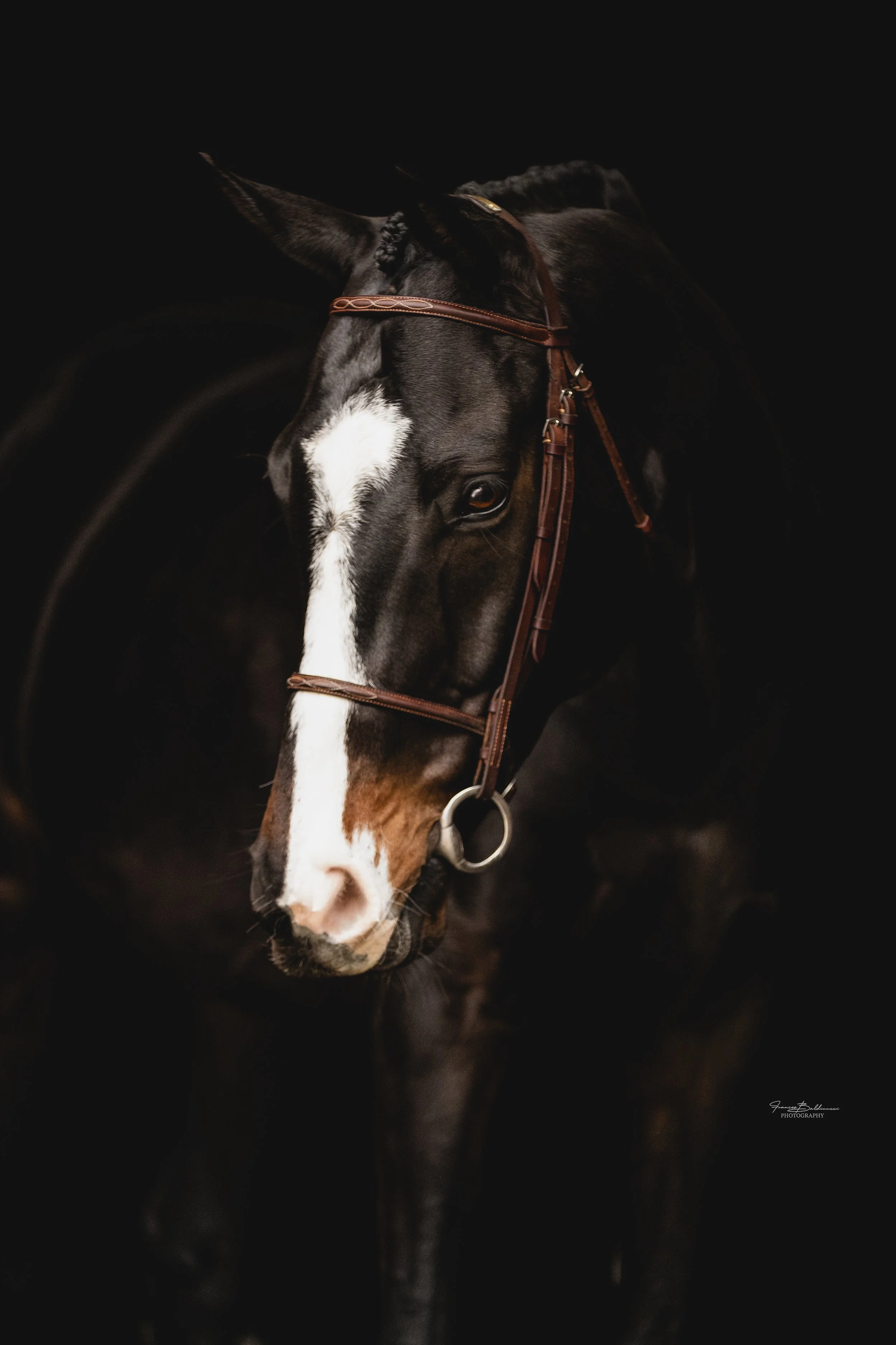 FBP_5930-Edit.jpg