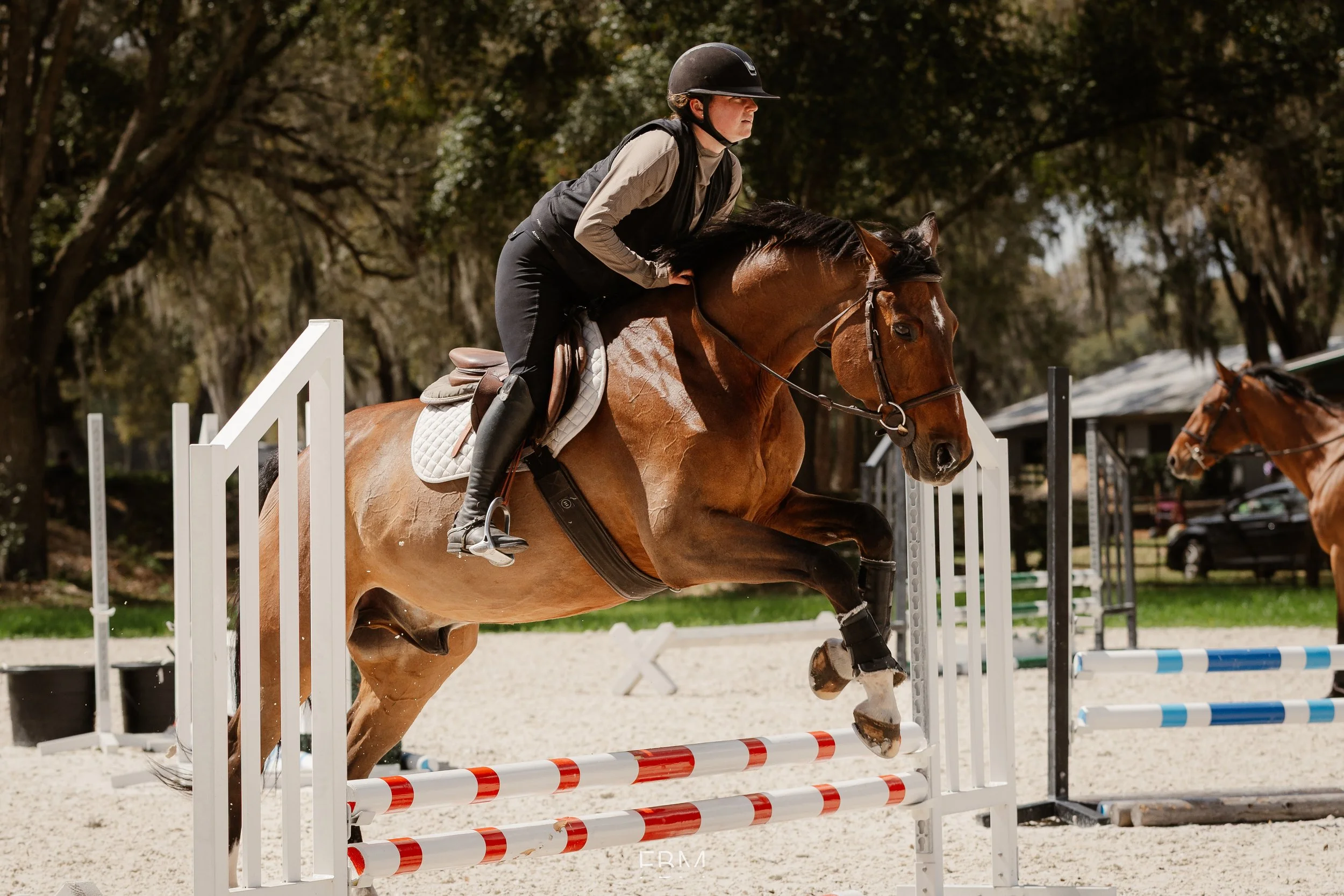 A person riding a horse during a show jumping event, jumping over a red and white obstacle on an outdoor arena with trees in the background.