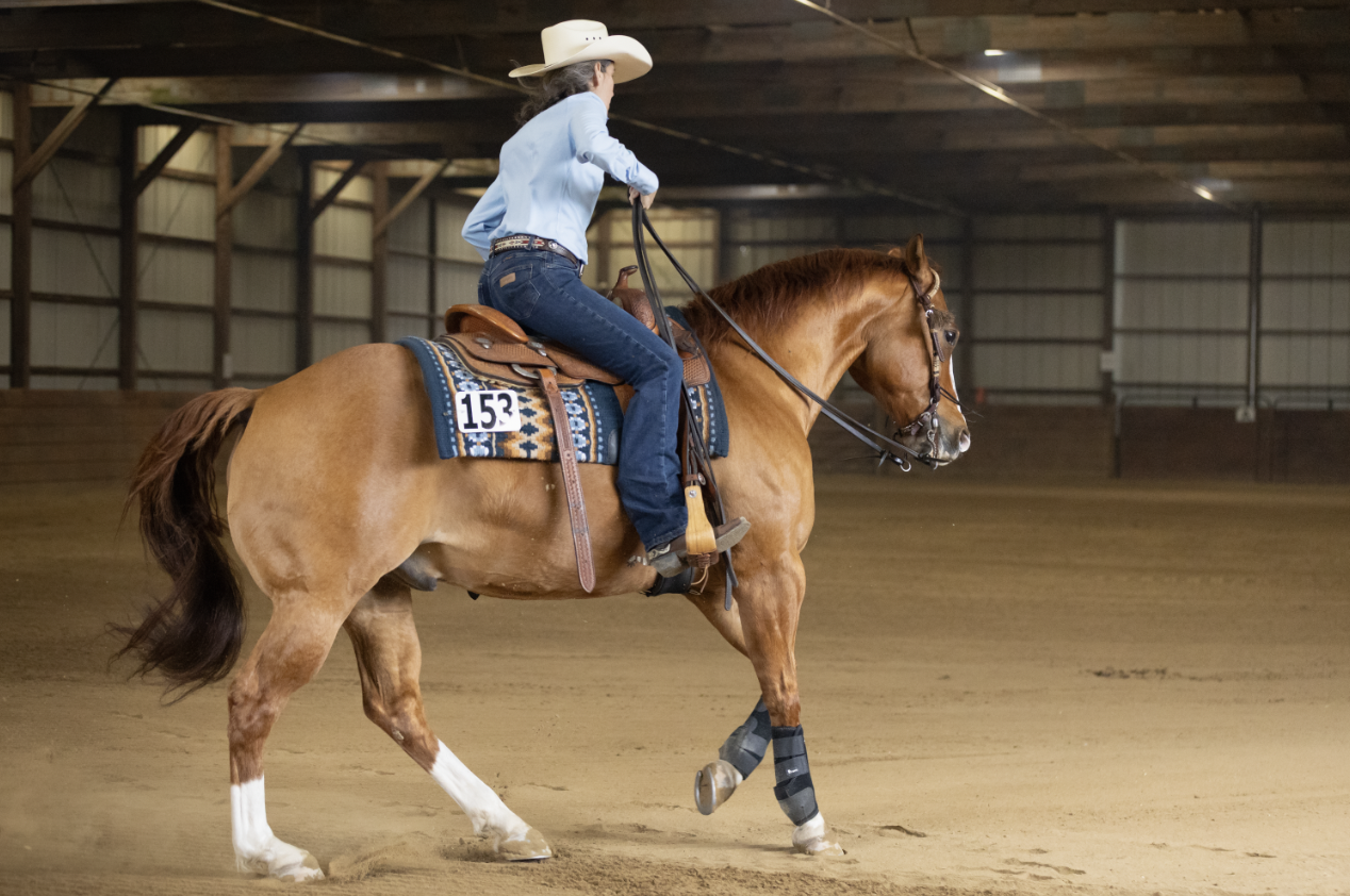 A woman leading a pinto horse in an outdoor arena, with the logo of the East Coast Reiners Association overlaid at the top.