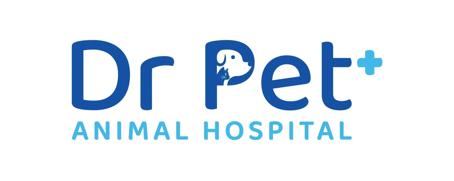 Dr Pet Animal Hospital