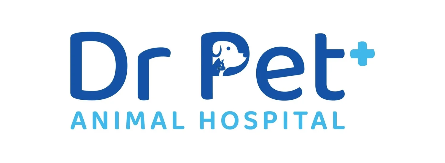 Dr Pet Animal Hospital