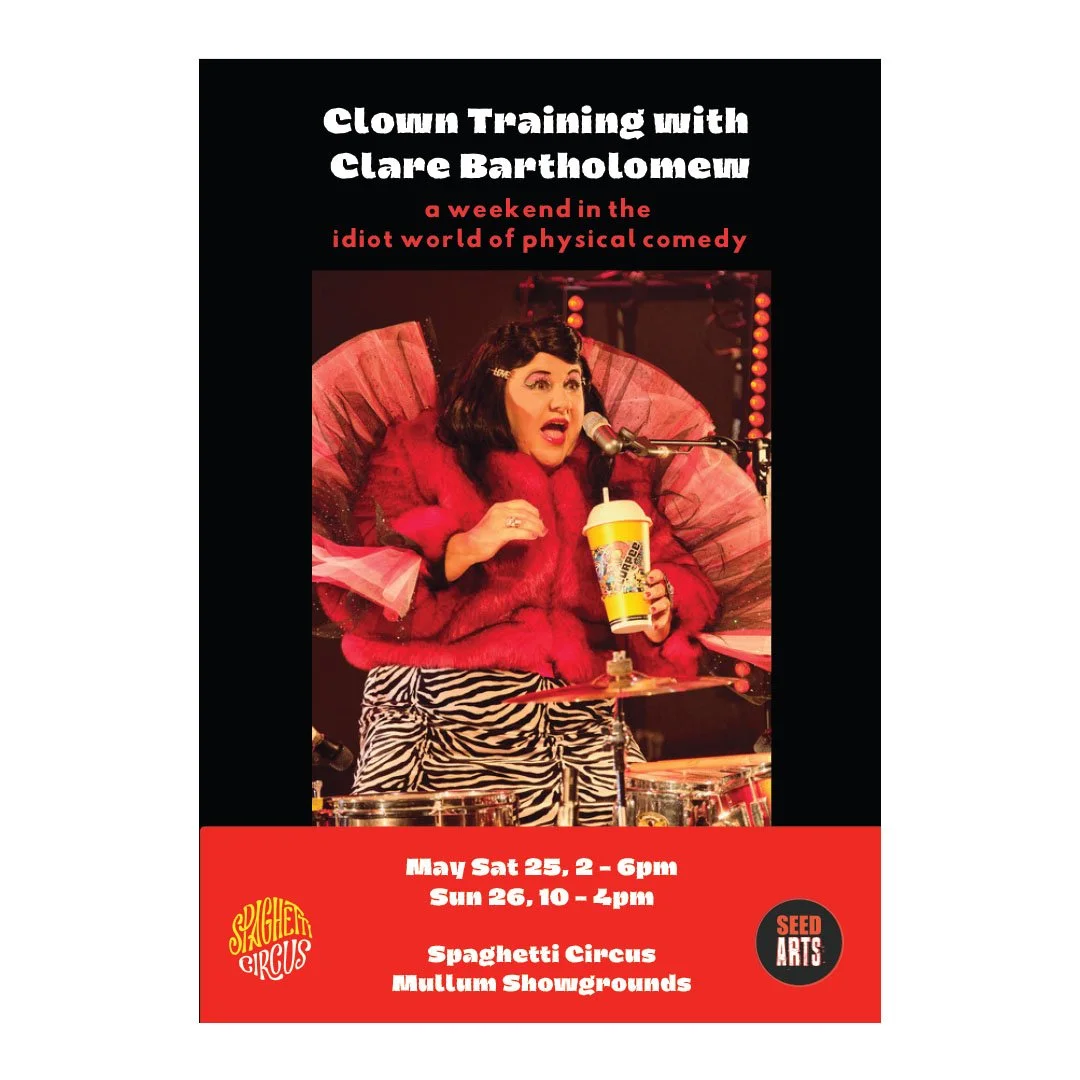 workshops_0002_Clown Training with Clare Bartholomew.jpg