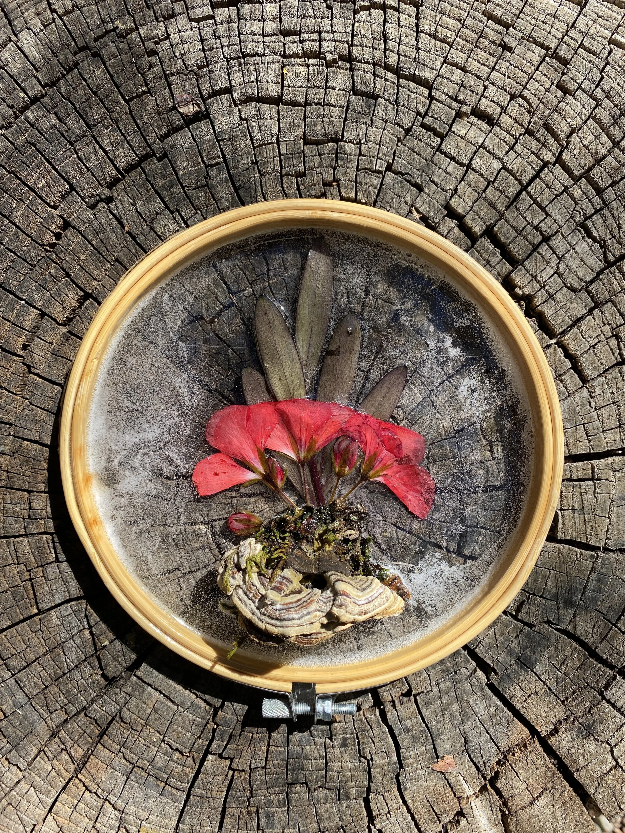 Geranium flower resin (1).JPG