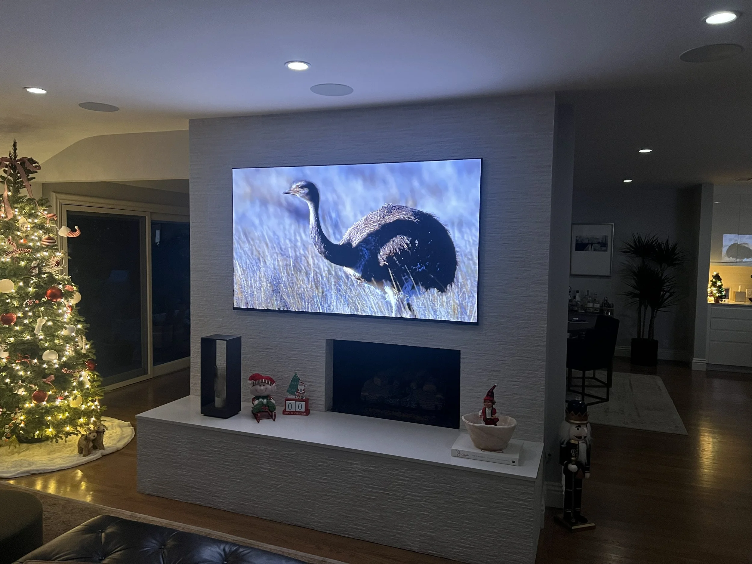 Installation of video system