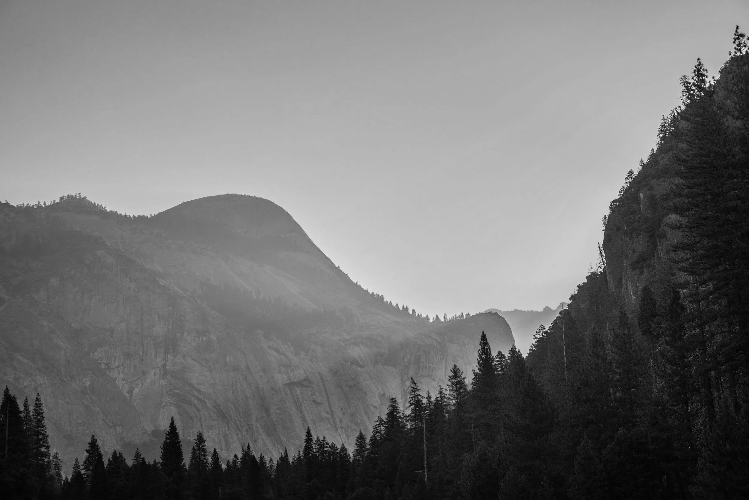 Black and white photo of a mountainous landscape with tall trees in the foreground and layered mountains in the background under a clear sky.