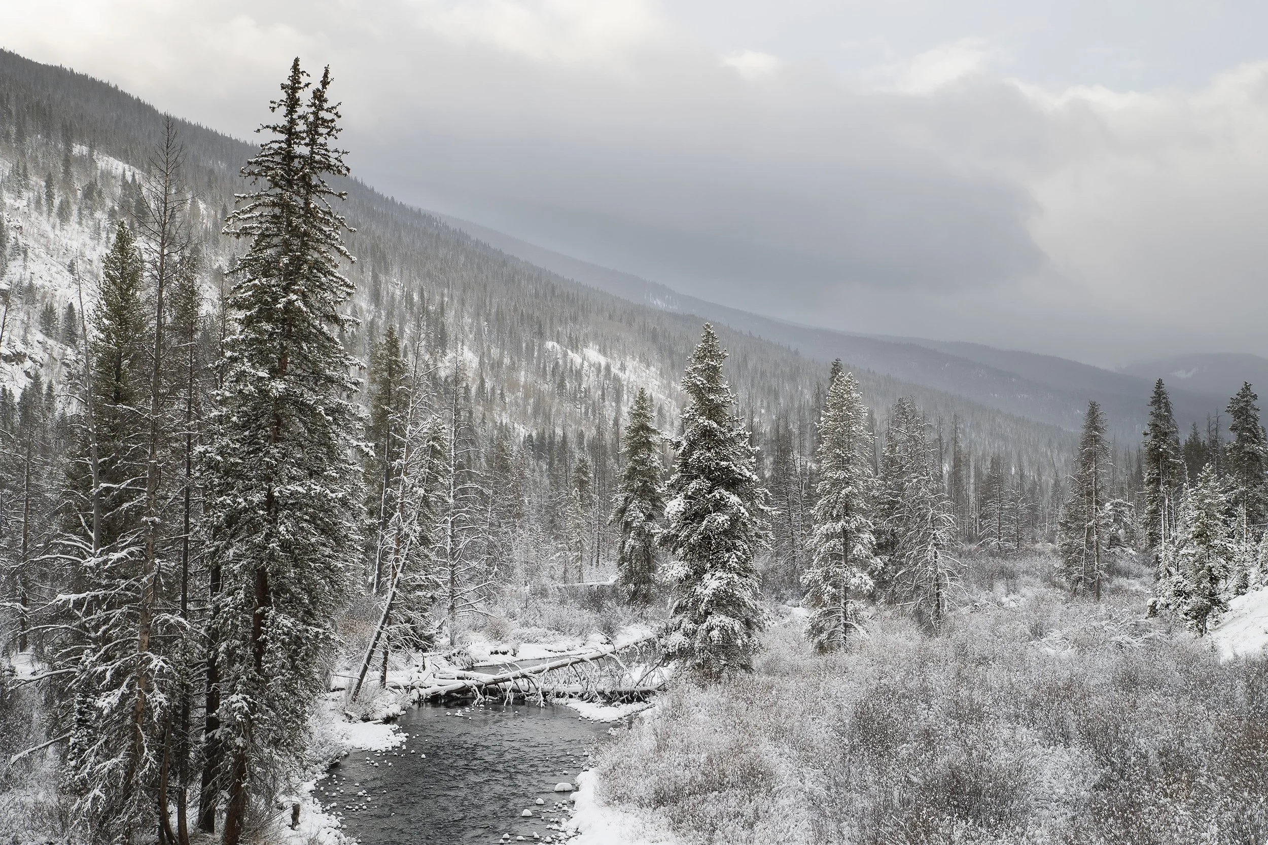 CLEARING STORM IN EARLY WINTER