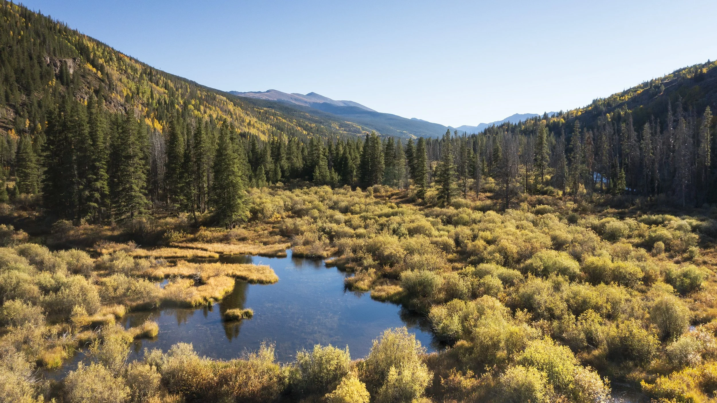 BEAVER POND AND WETLANDS, AUTUMN 