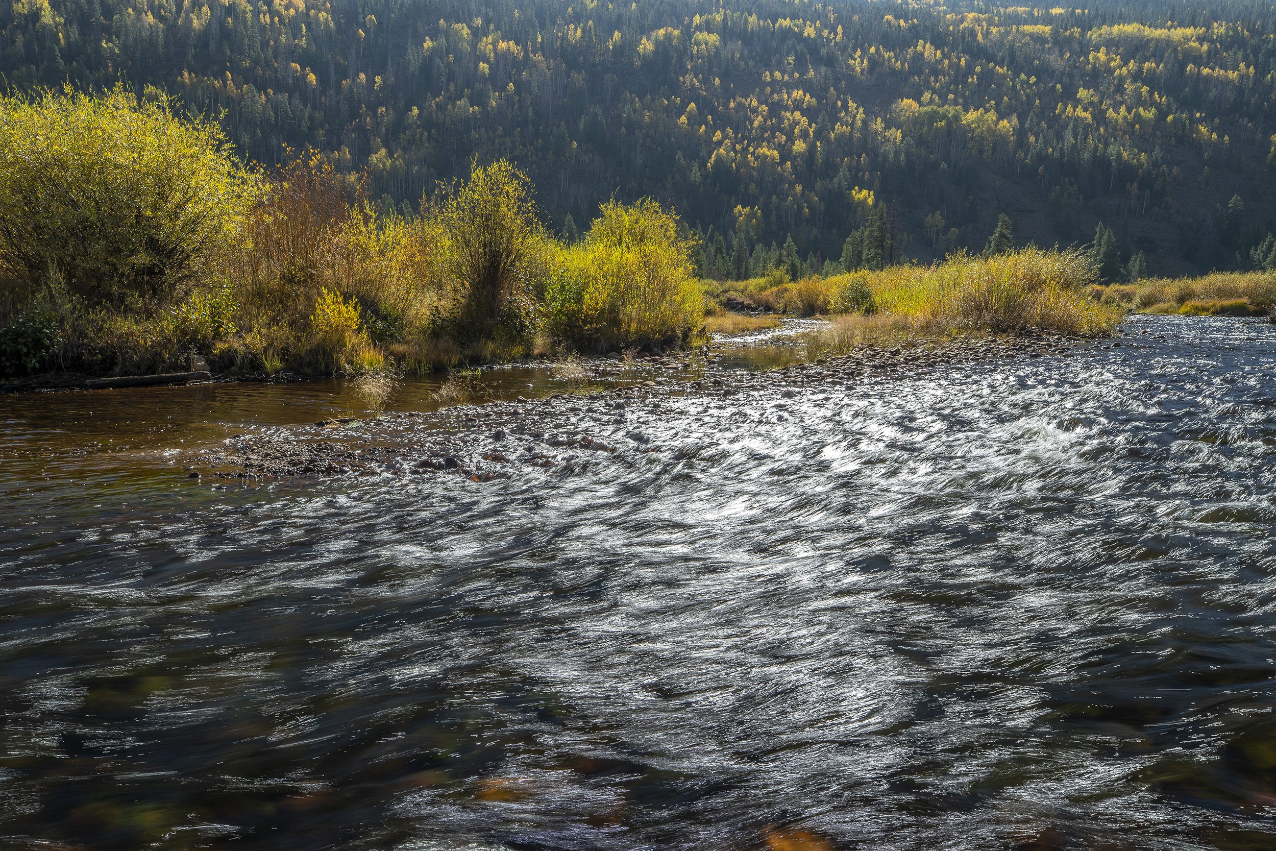 HOMESTAKE CREEK IN MORNING LIGHT, AUTUMN