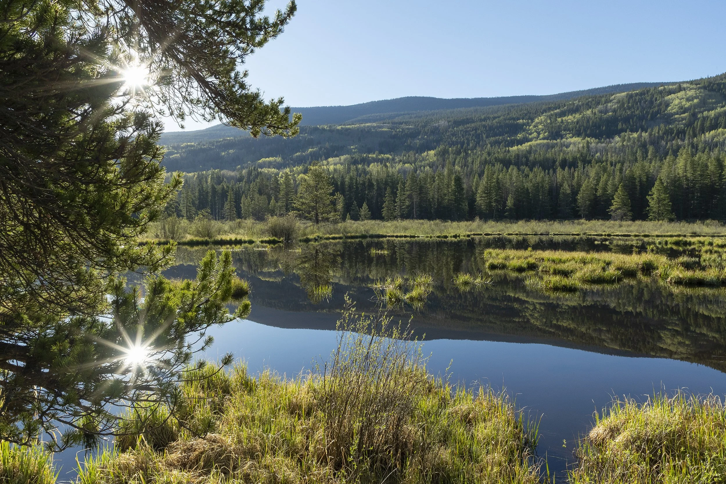 BEAVER POND NEAR WHITNEY CREEK