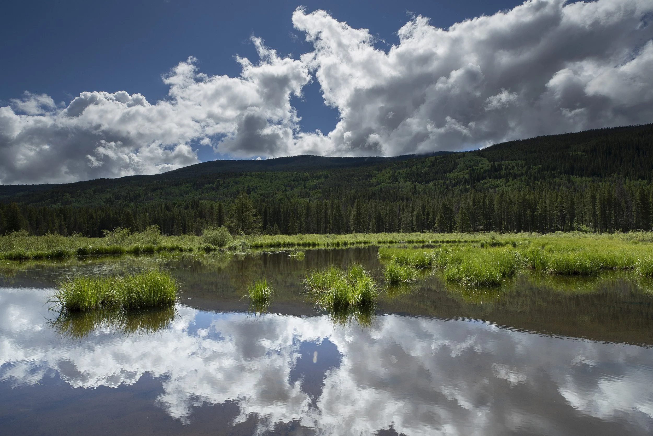 BEAVER POND NEAR WHITNEY CREEK