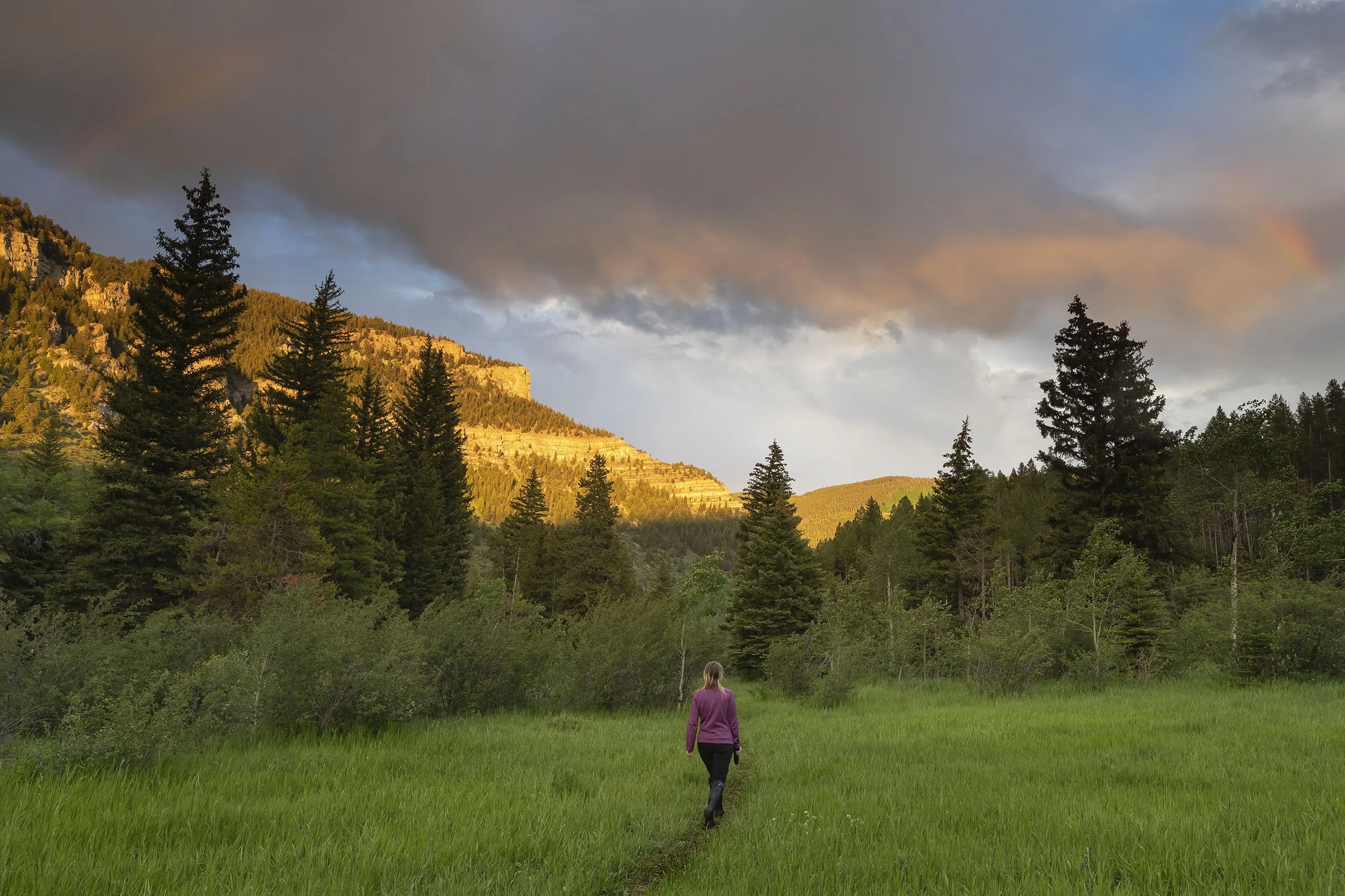 EVW-MBY-003.jpg