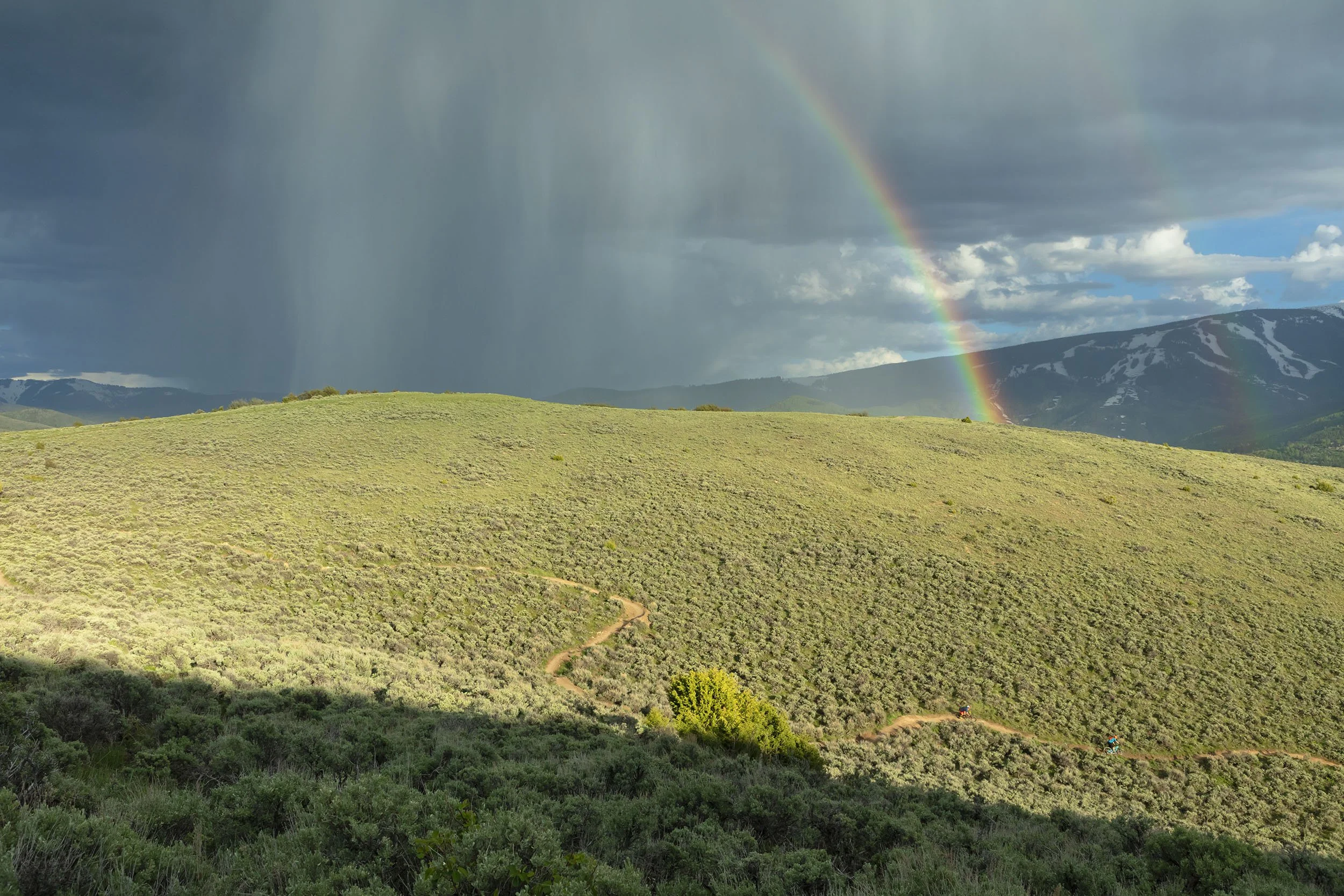WEST AVON PRESERVE