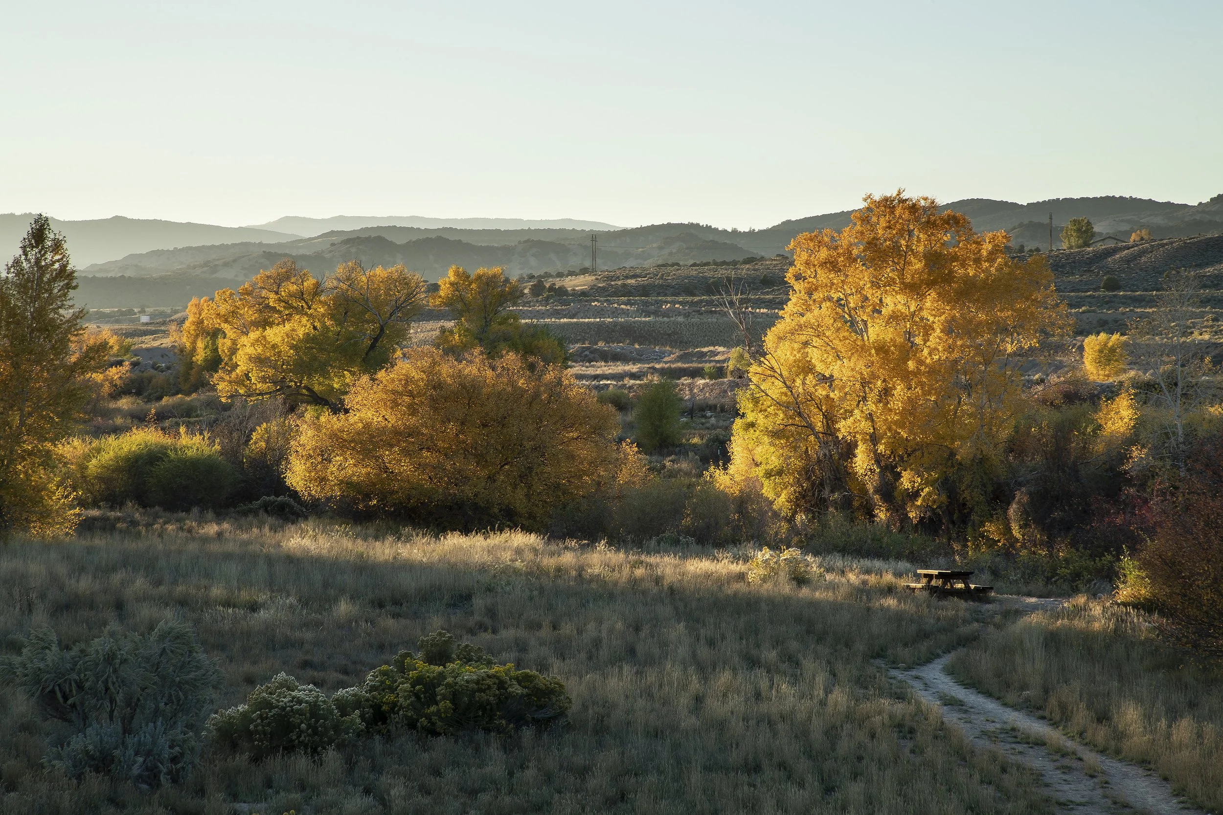 BRUSH CREEK CONFLUENCE OPEN SPACE, EAGLE