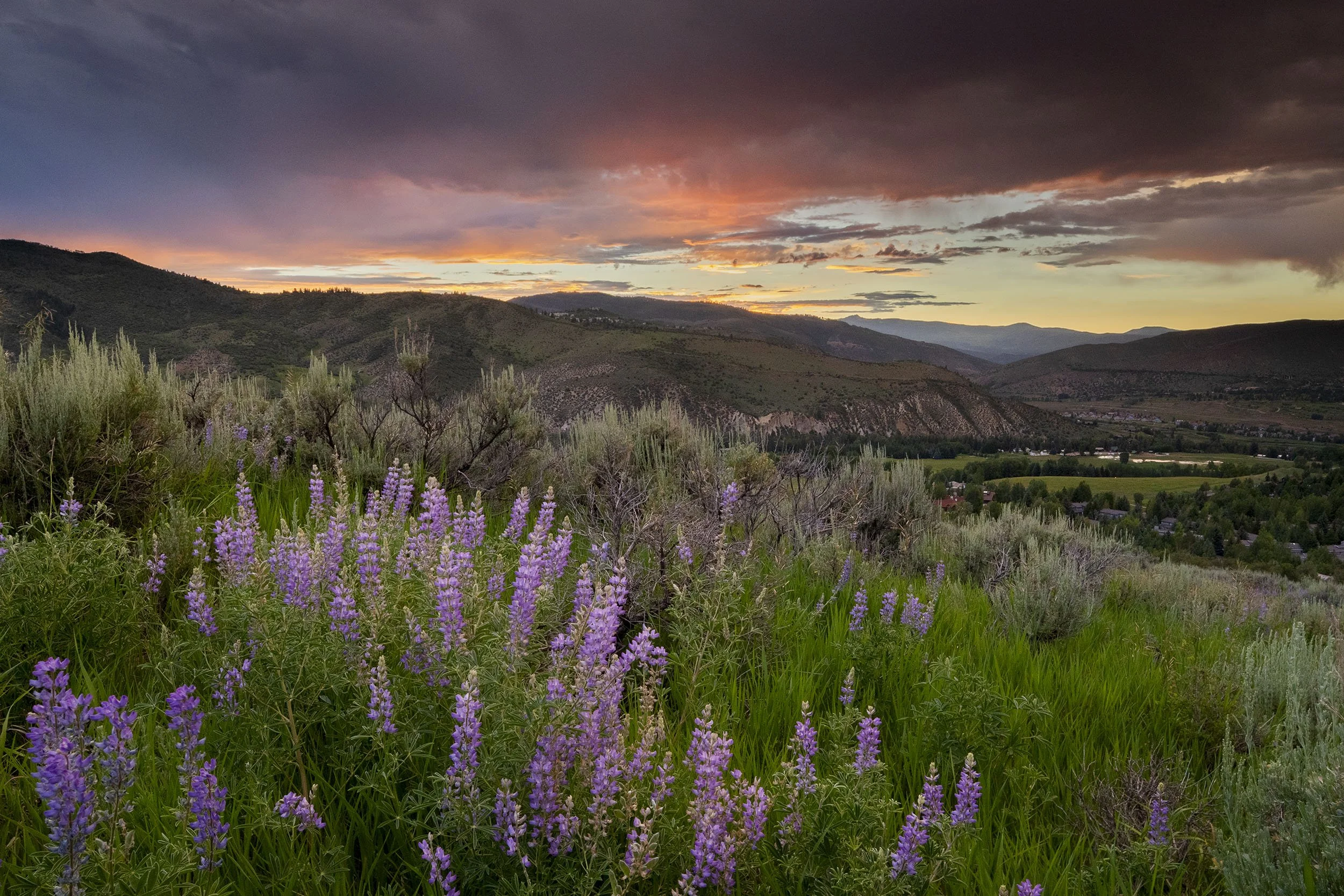 HOMESTEAD "L" OPEN SPACE, EDWARDS 