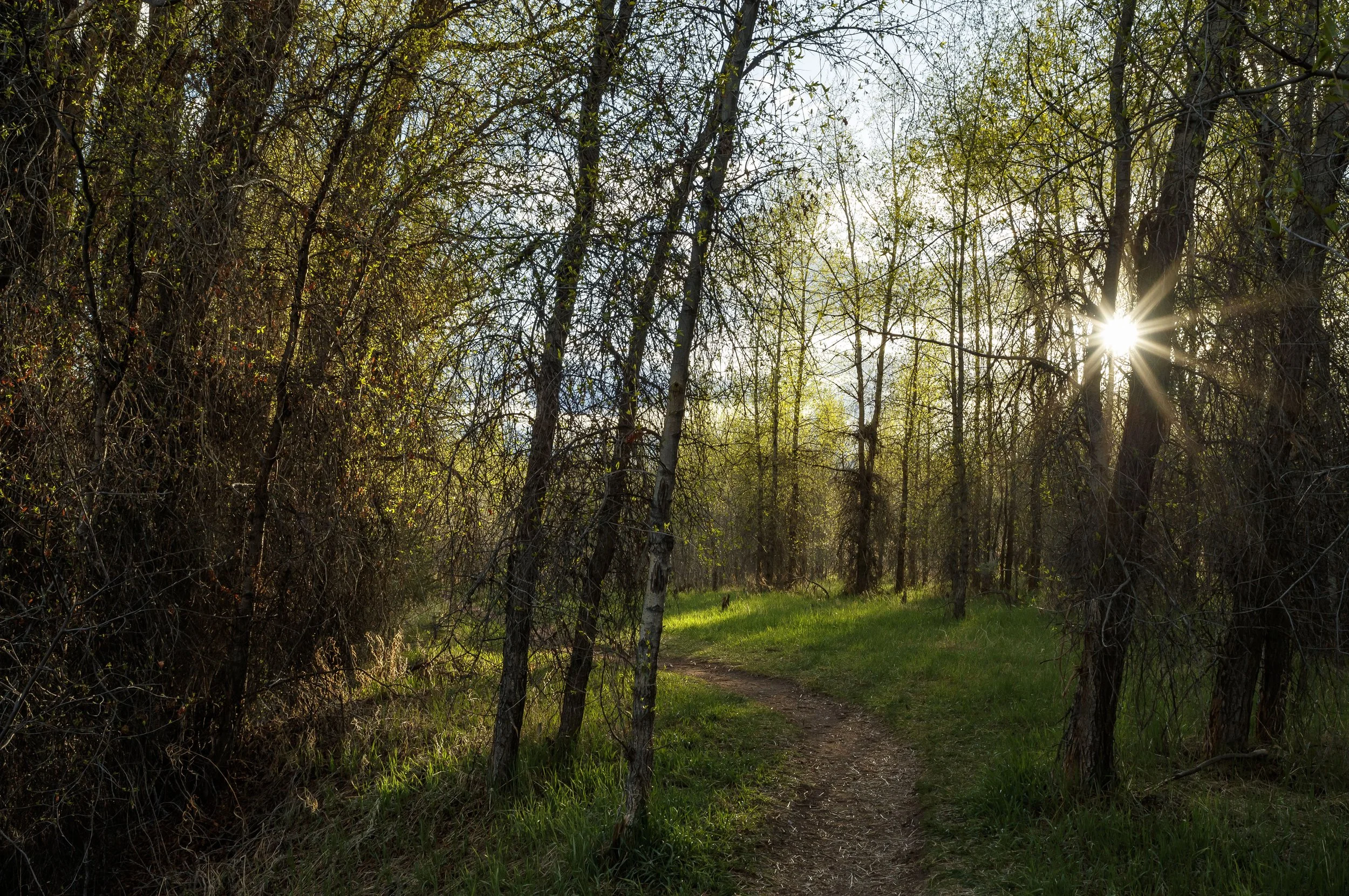 MILLER RANCH OPEN SPACE 