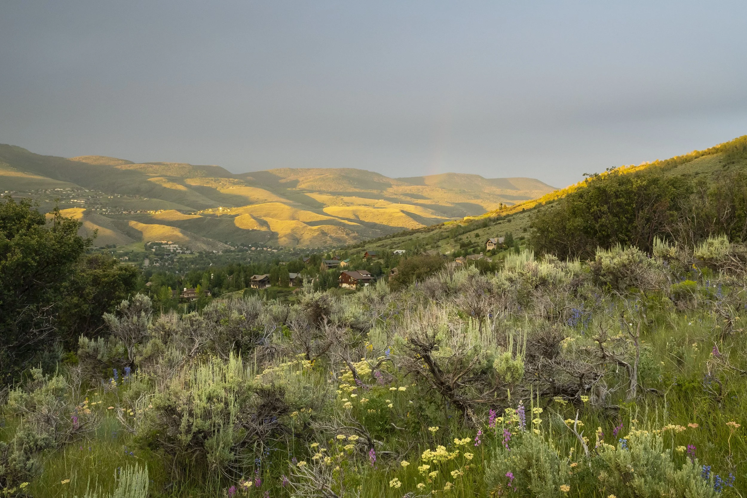 HOMESTEAD "L" OPEN SPACE, EDWARDS 