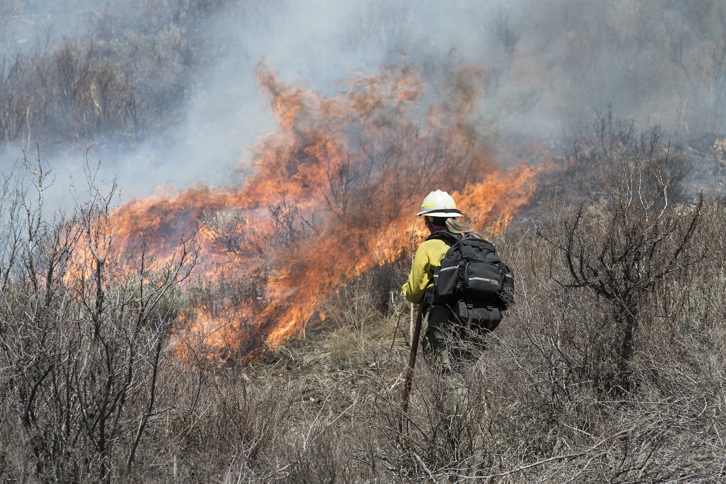PRESCRIBED BURN TO IMPROVE BIGHORN SHEEP HABITAT, EAST VAIL