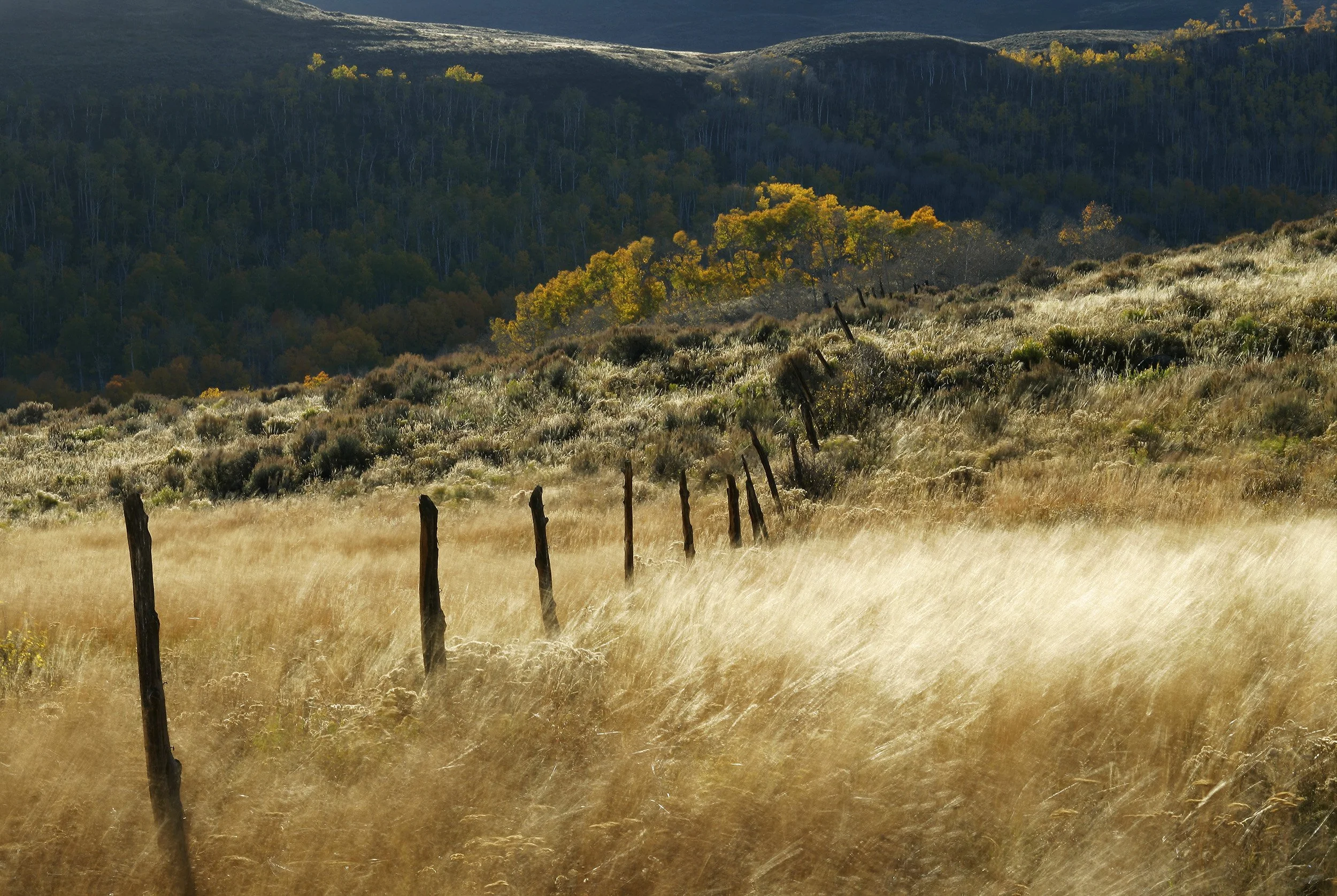CASTLE PEAK RANCH