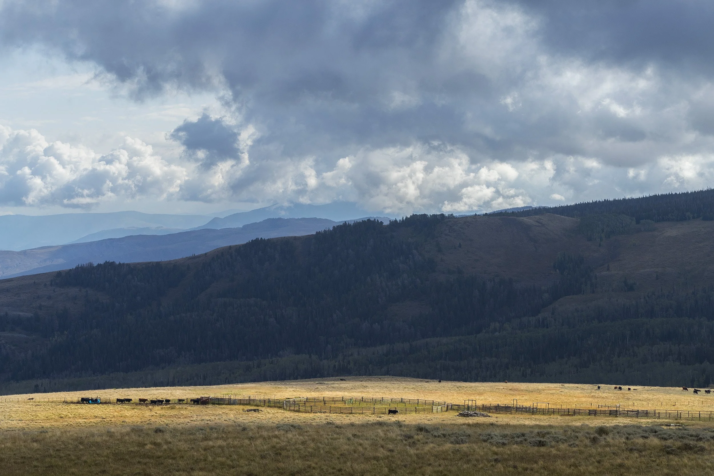 NOTTINGHAM RANCH