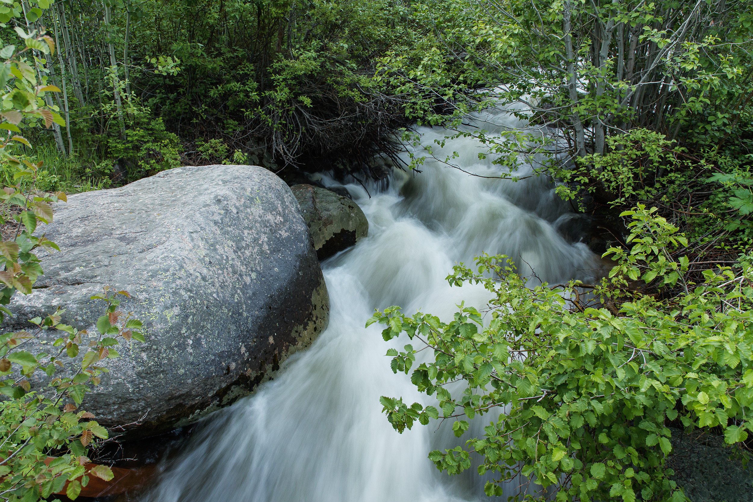 GROUSE CREEK NEAR MINTURN