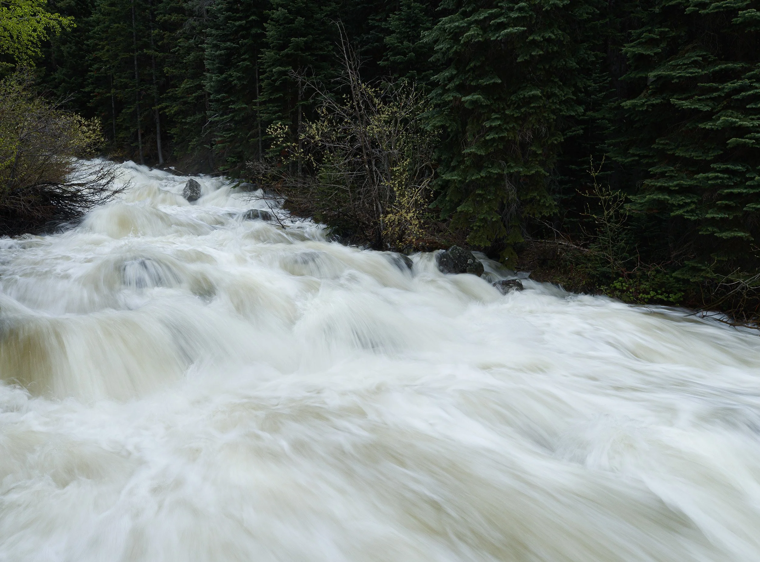 GORE CREEK, EAGLE'S NEST WILDERNESS