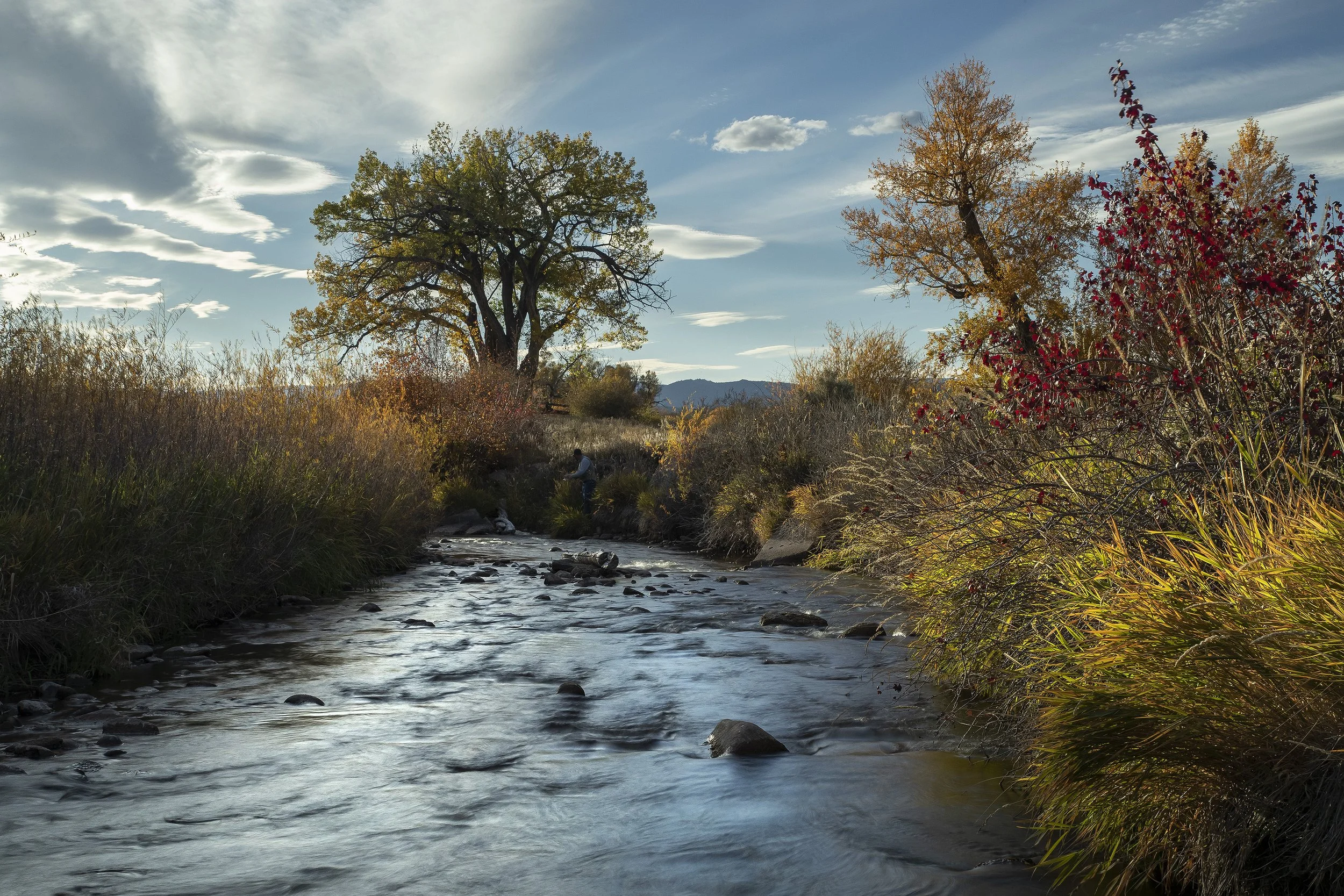BRUSH CREEK, EAGLE 