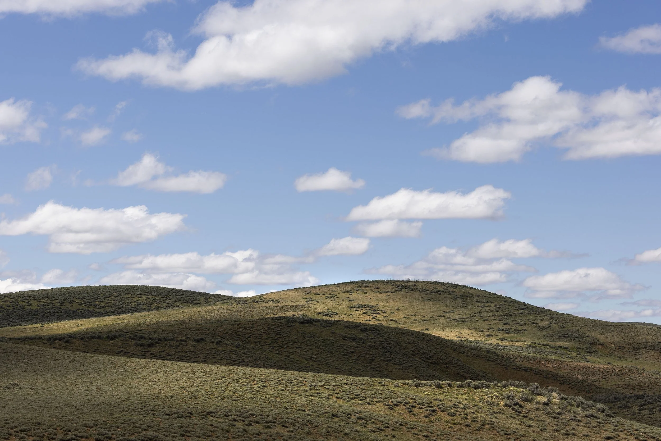TWP-COL-VST-BG06.jpg