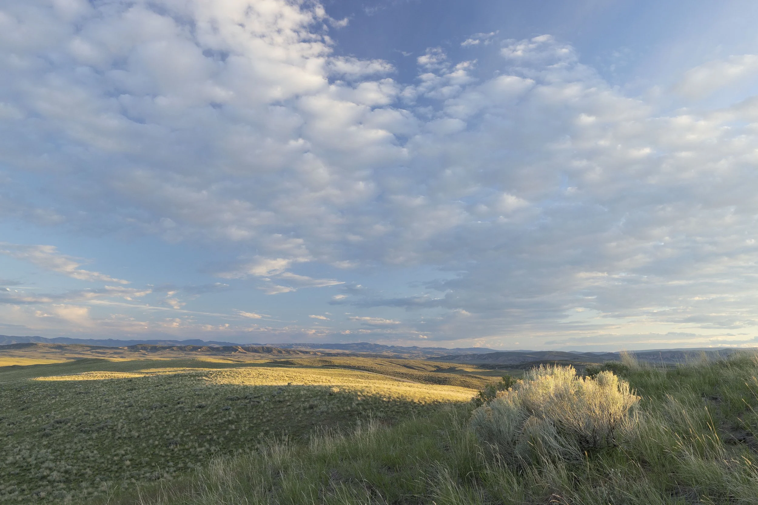 TWP-COL-VST-West13.jpg