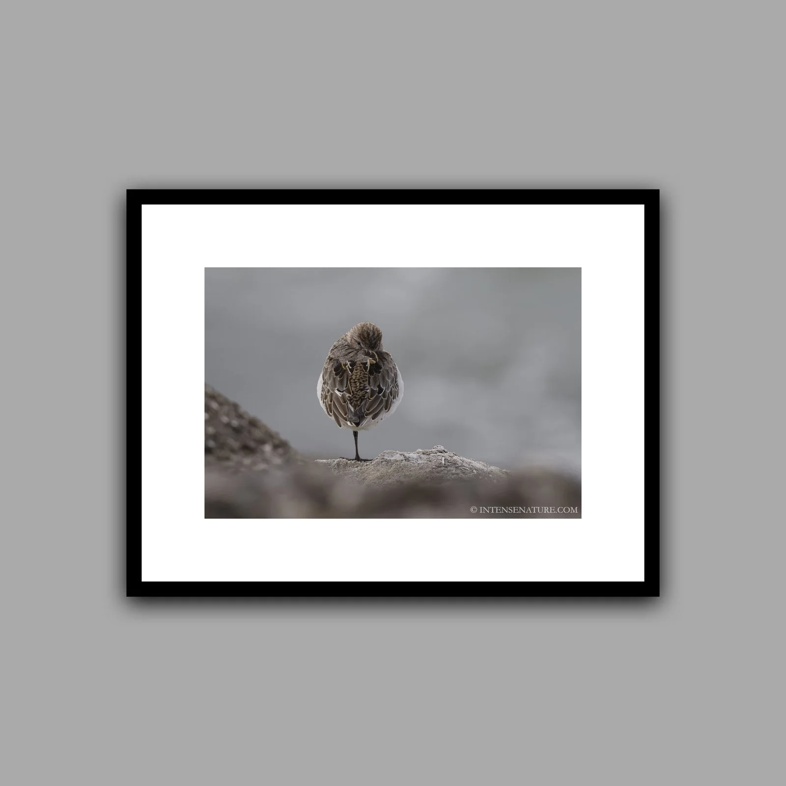 _D533354_DxO_red_mock.jpg