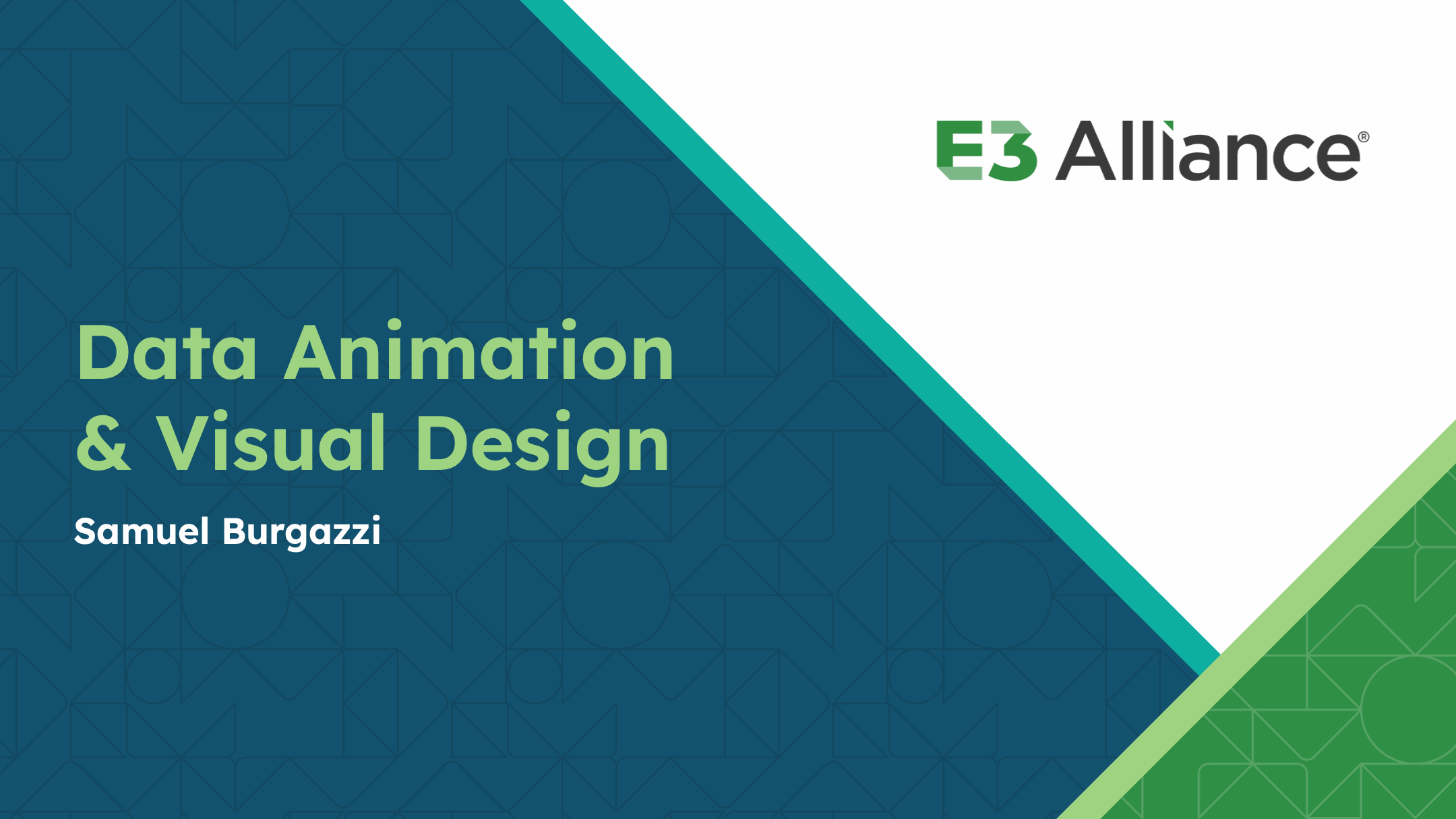 E3 Alliance Data Visualization