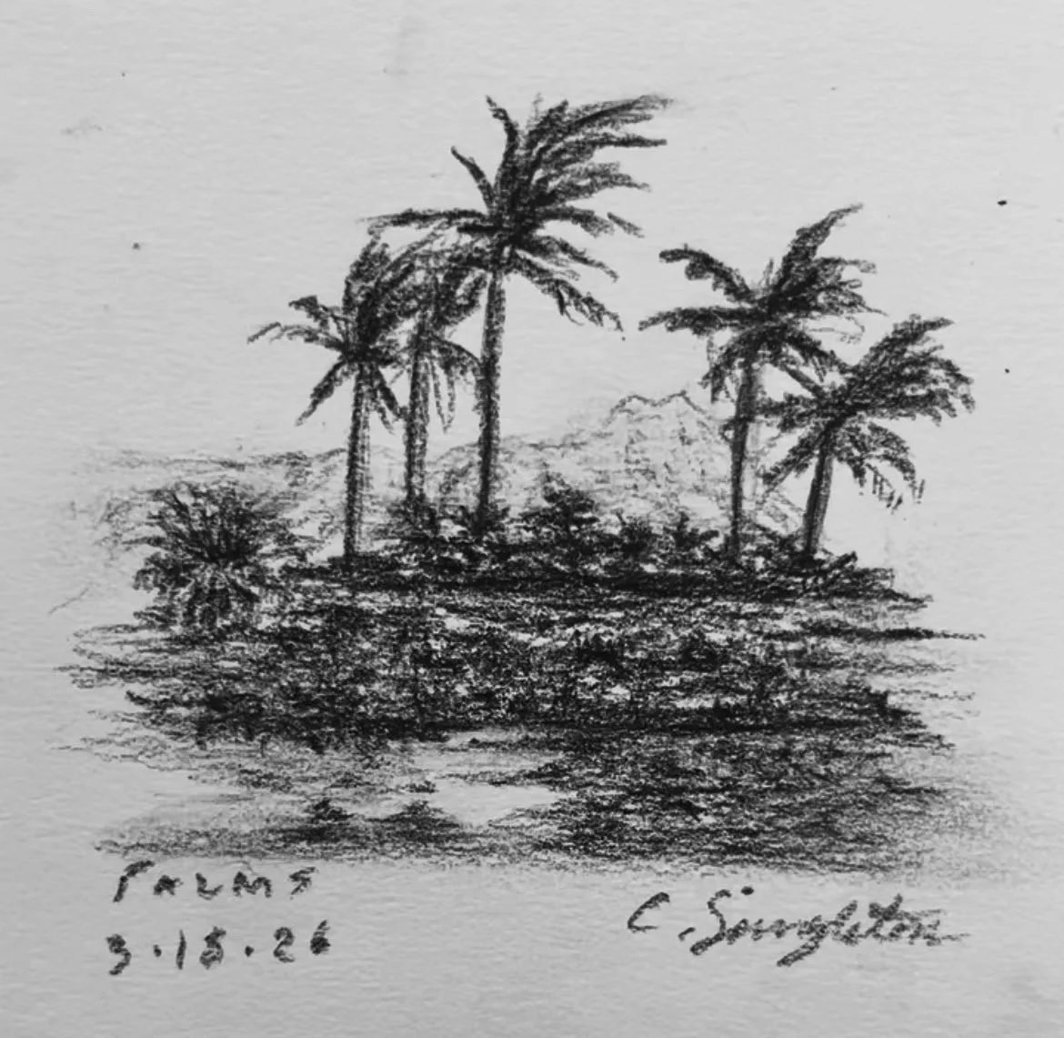 Sketch Gallery