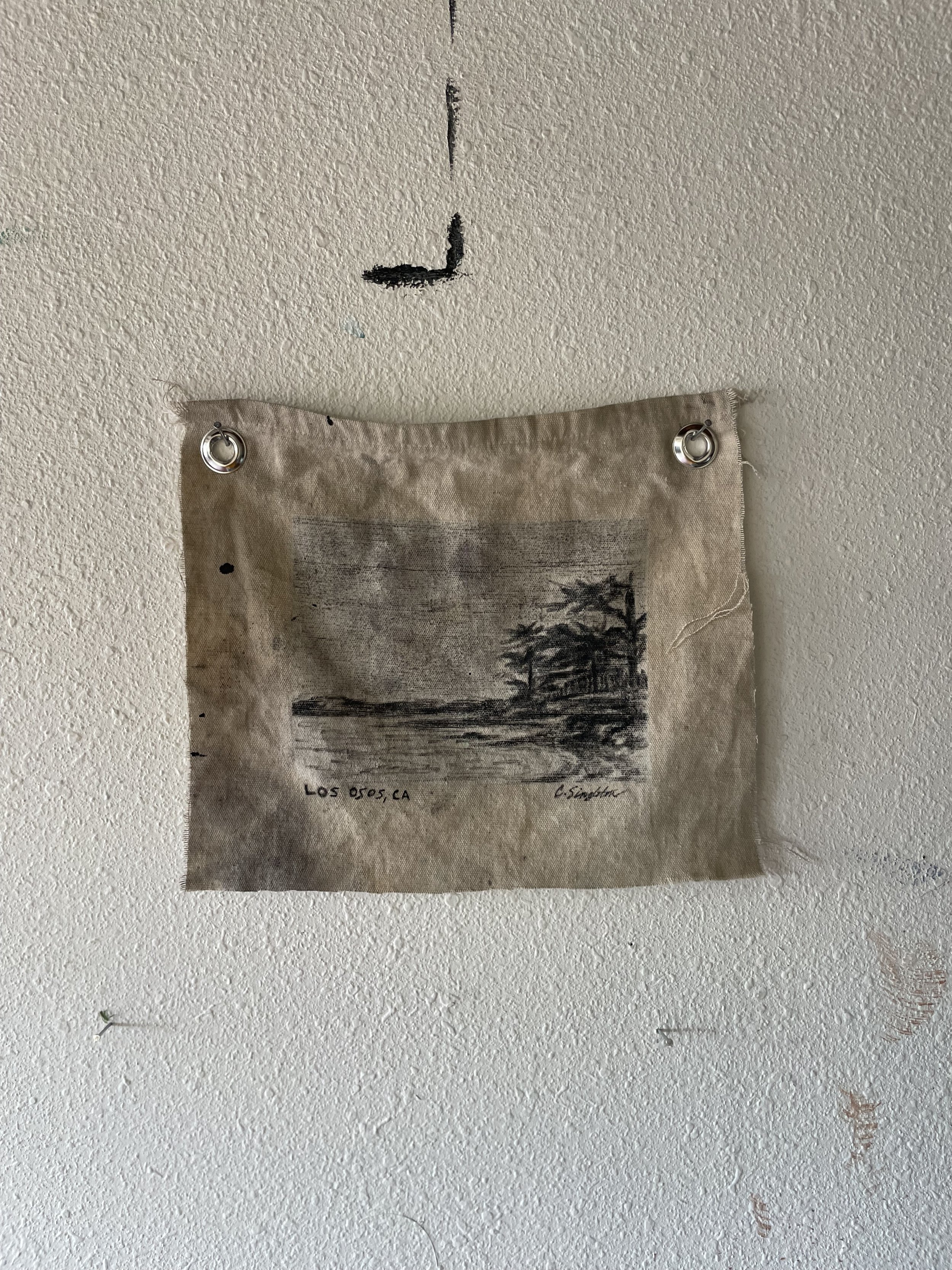 IMG_6743.jpeg
