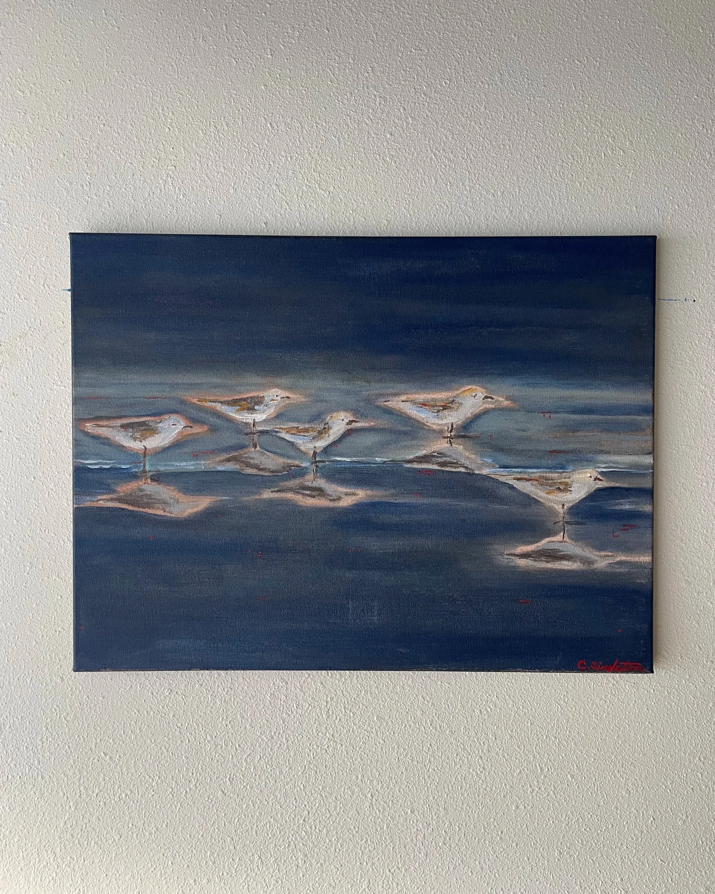 Seabirds