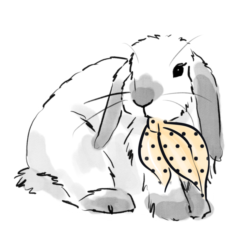 Illustration of a cute gray and white rabbit holding a polka-dotted leaf in its mouth.