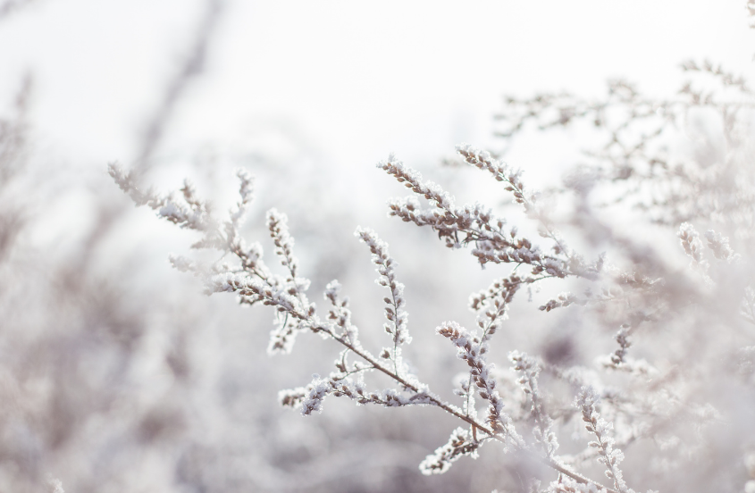 Battling the Winter Blues