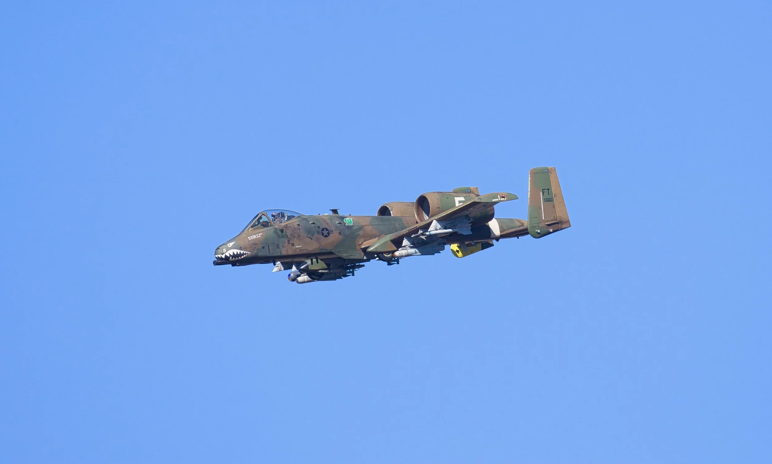 3B5A1974.jpg
