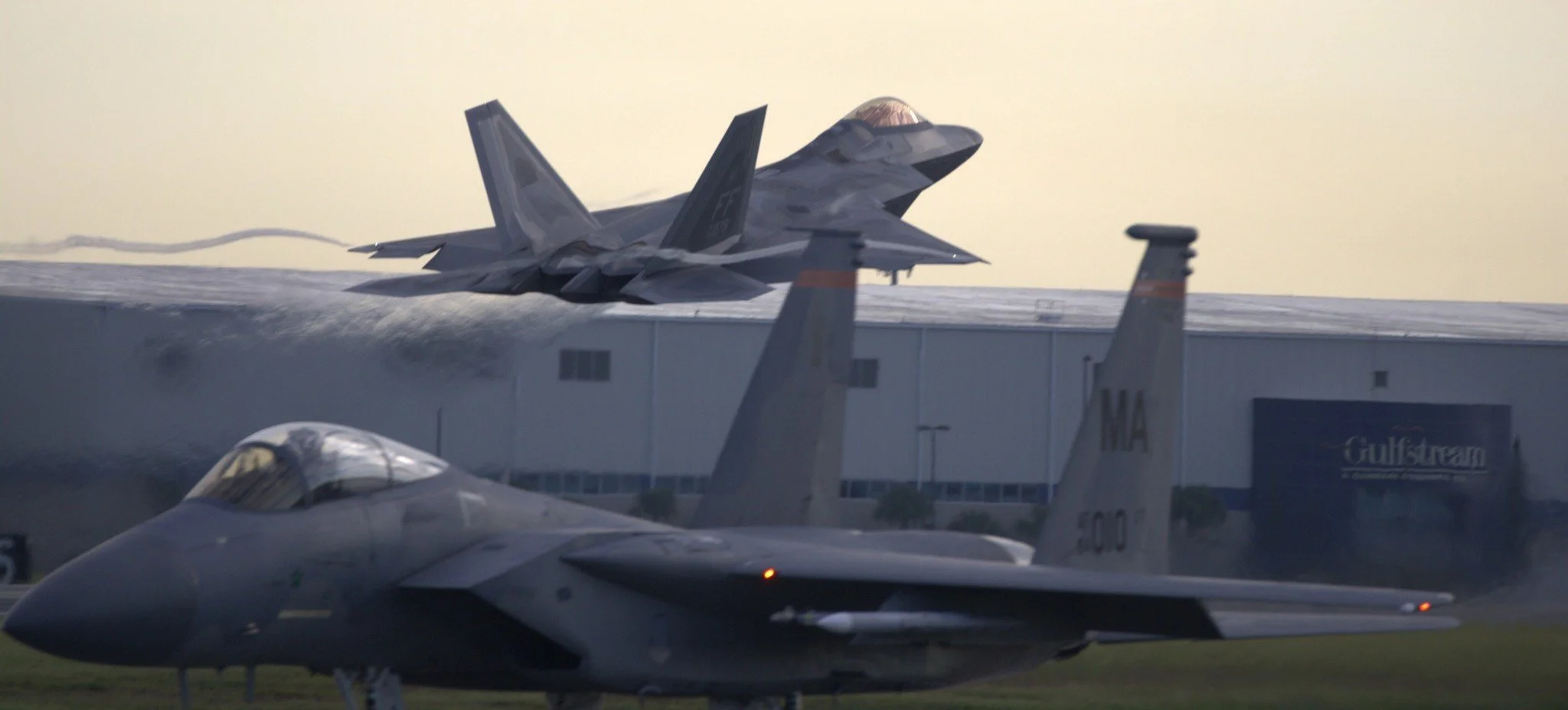 Raptor & Eagle WT.jpg