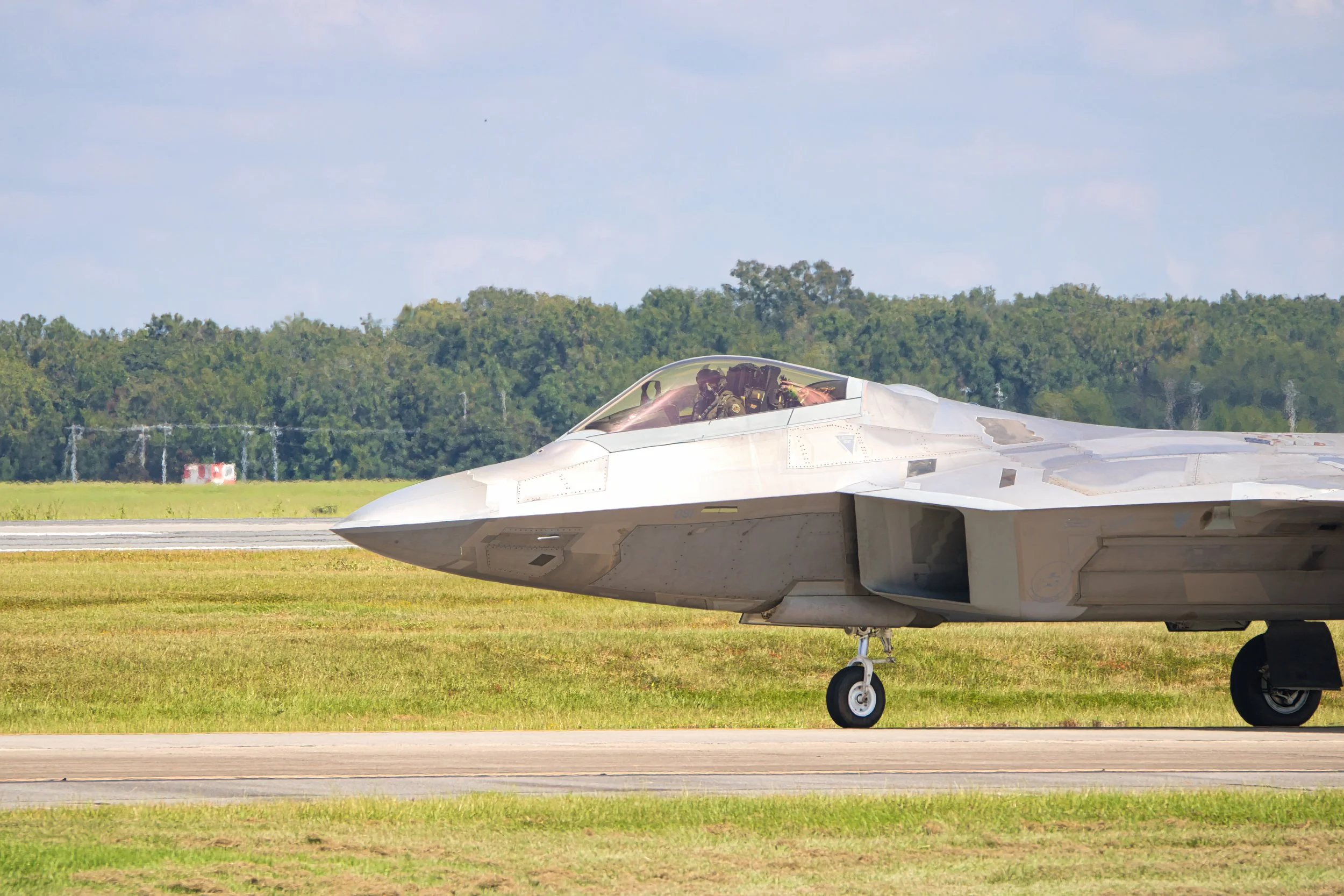 WT Raptor Close Up 2023.jpg