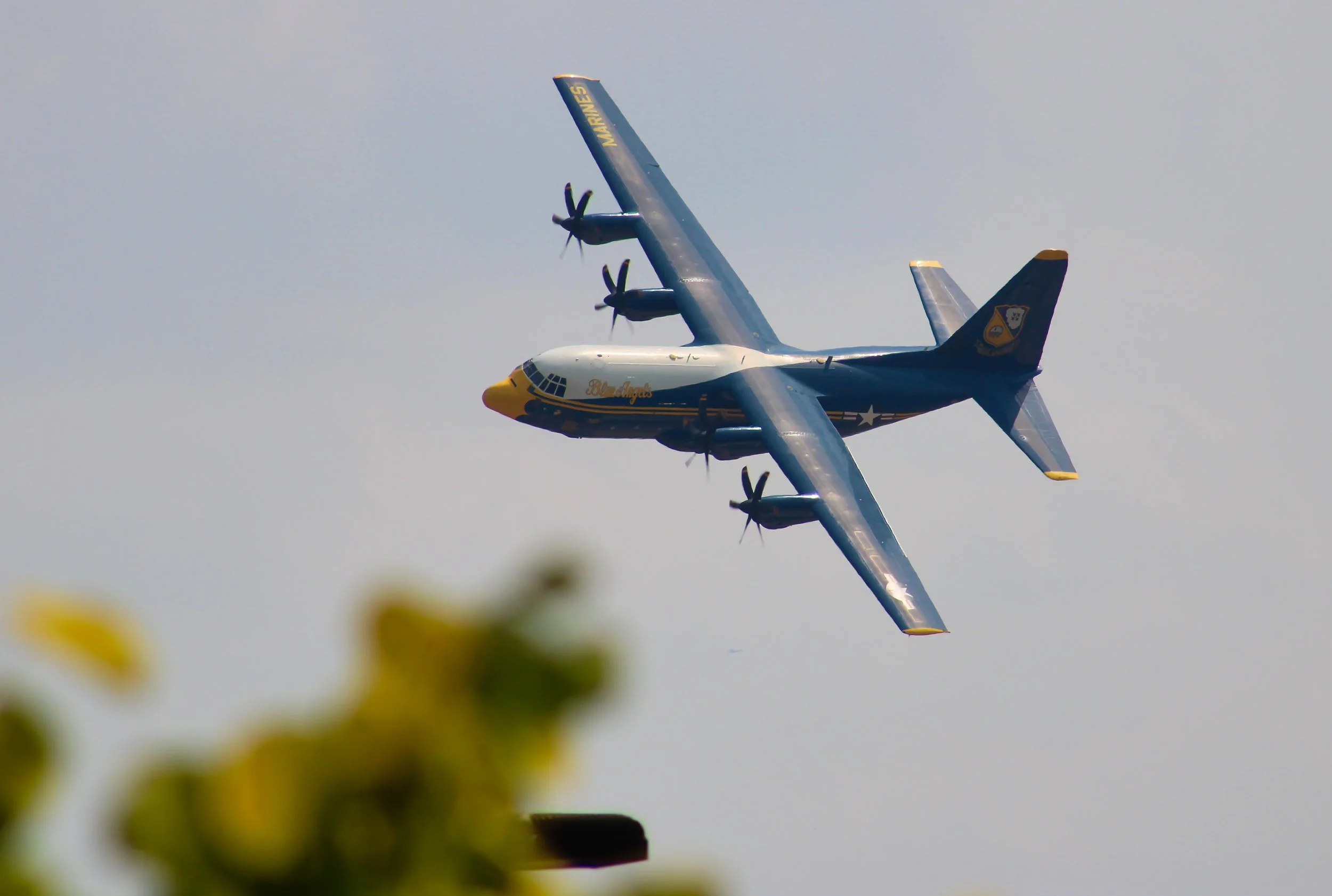 Fat Albert - Smyrna 1.jpg