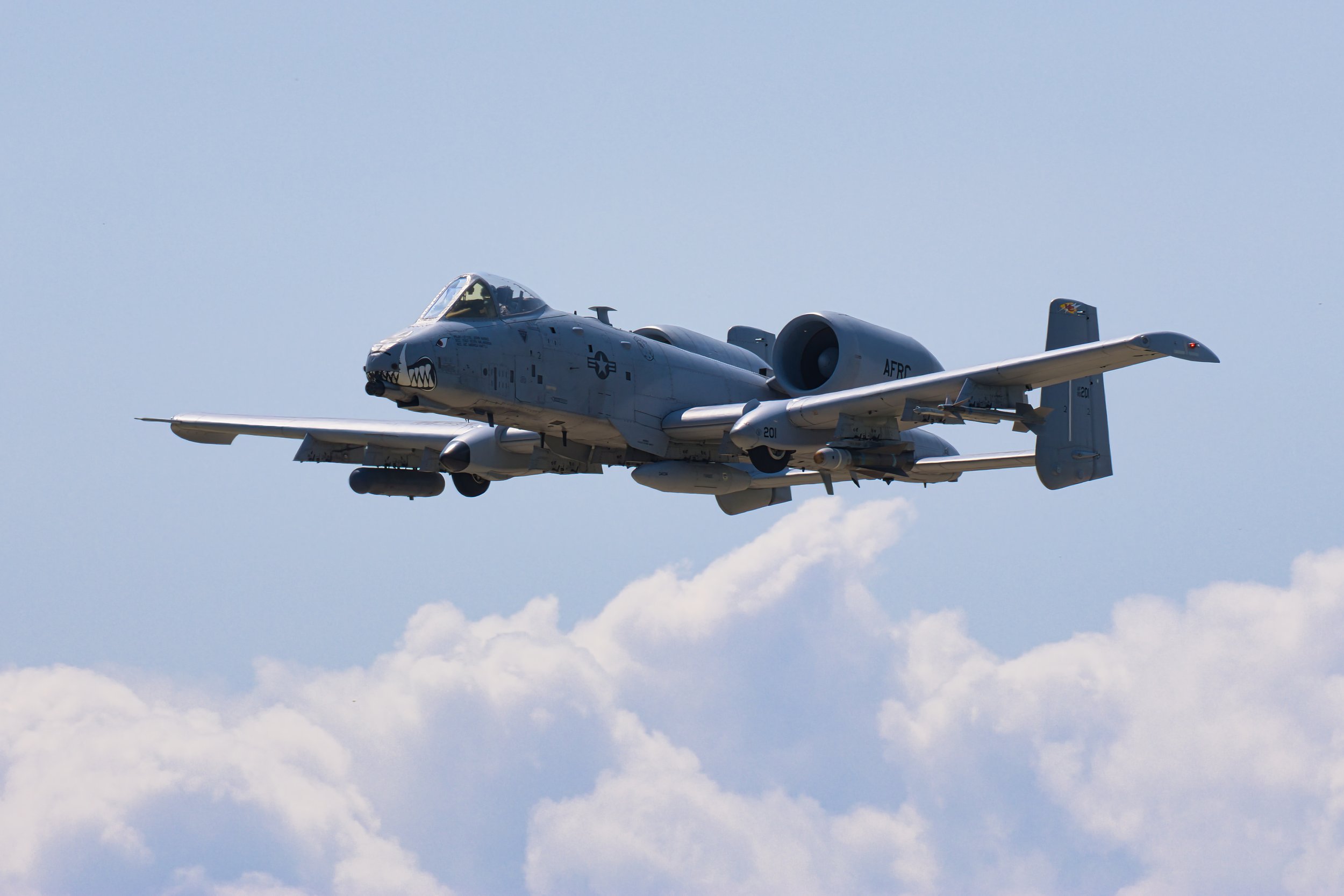 KC Warthog.jpg